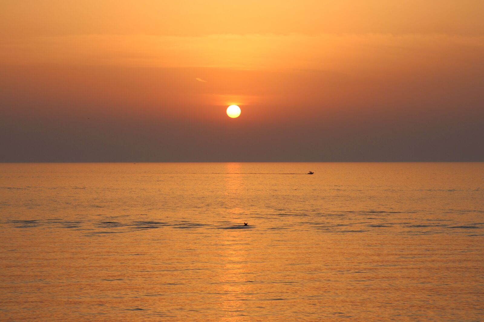 Canon EOS 600D (Rebel EOS T3i / EOS Kiss X5) sample photo. Sunset, sun, sea photography