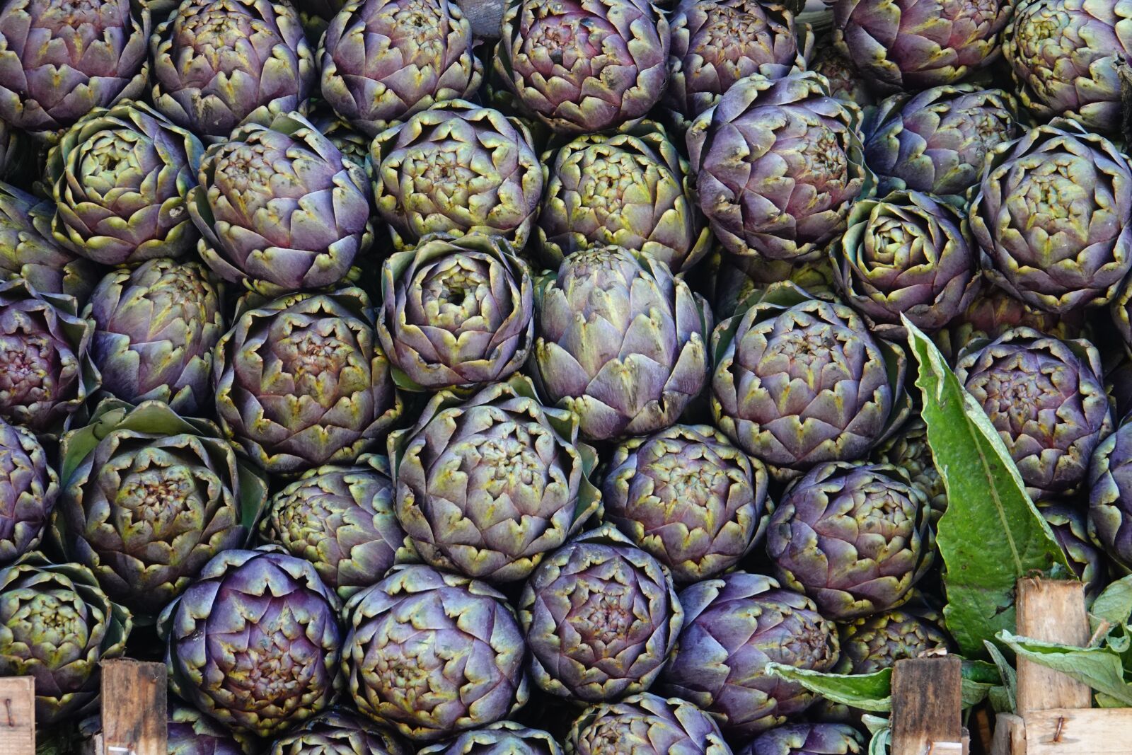 Sony Cyber-shot DSC-RX10 IV sample photo. Market, shopping, artichokes photography