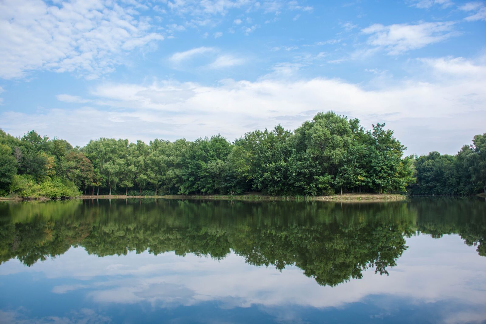 Nikon D7200 sample photo. The scenery, forest, park photography
