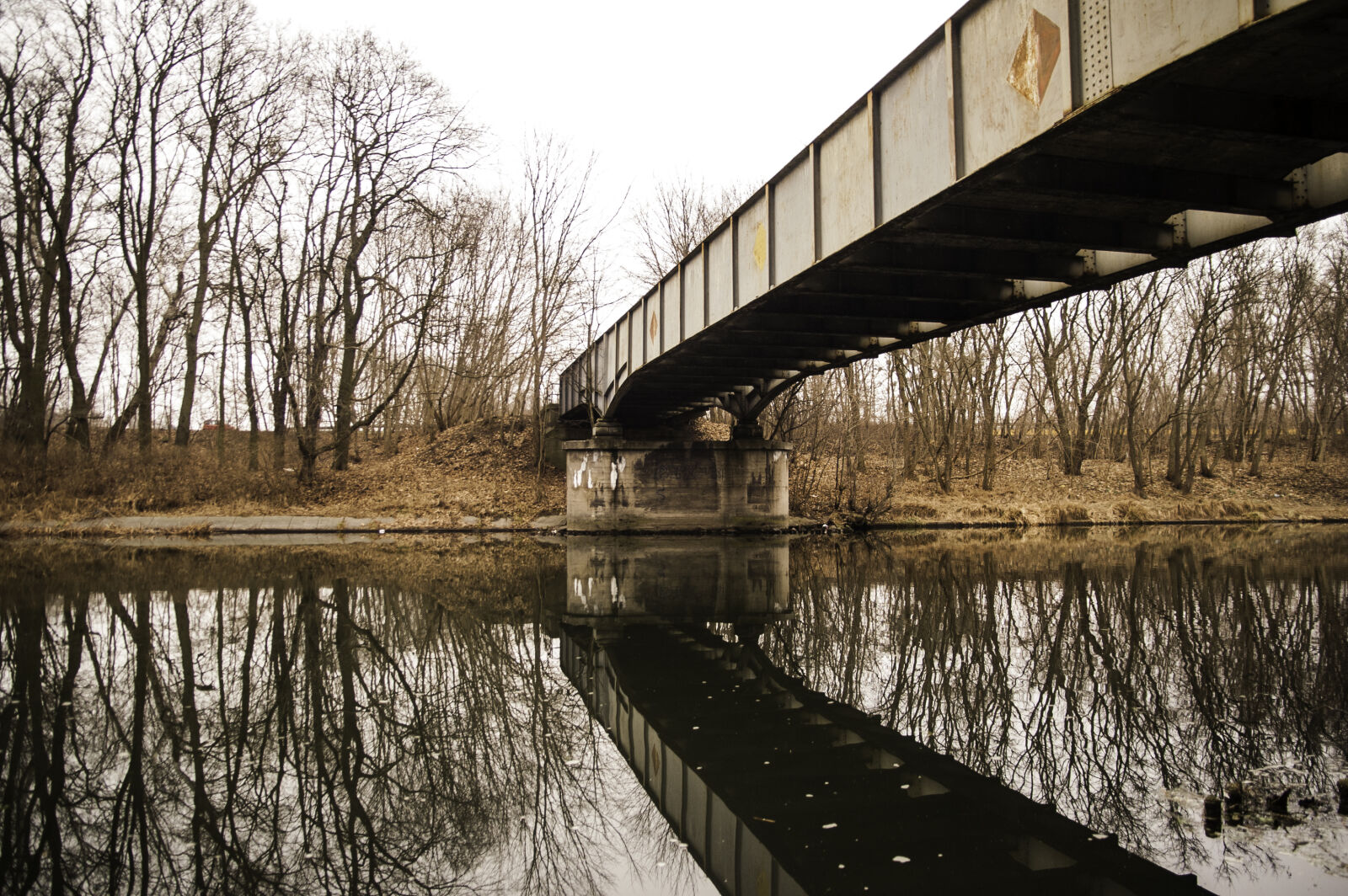 KONICA MINOLTA DYNAX 7D sample photo. Bridge photography