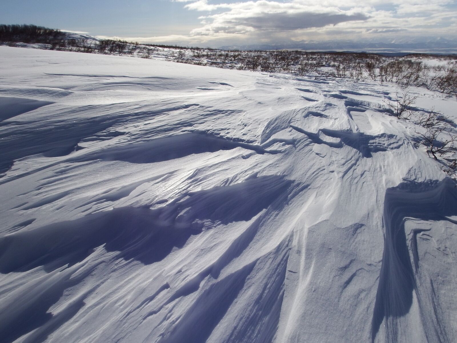 Fujifilm FinePix S1 sample photo. Winter, snow, cold photography