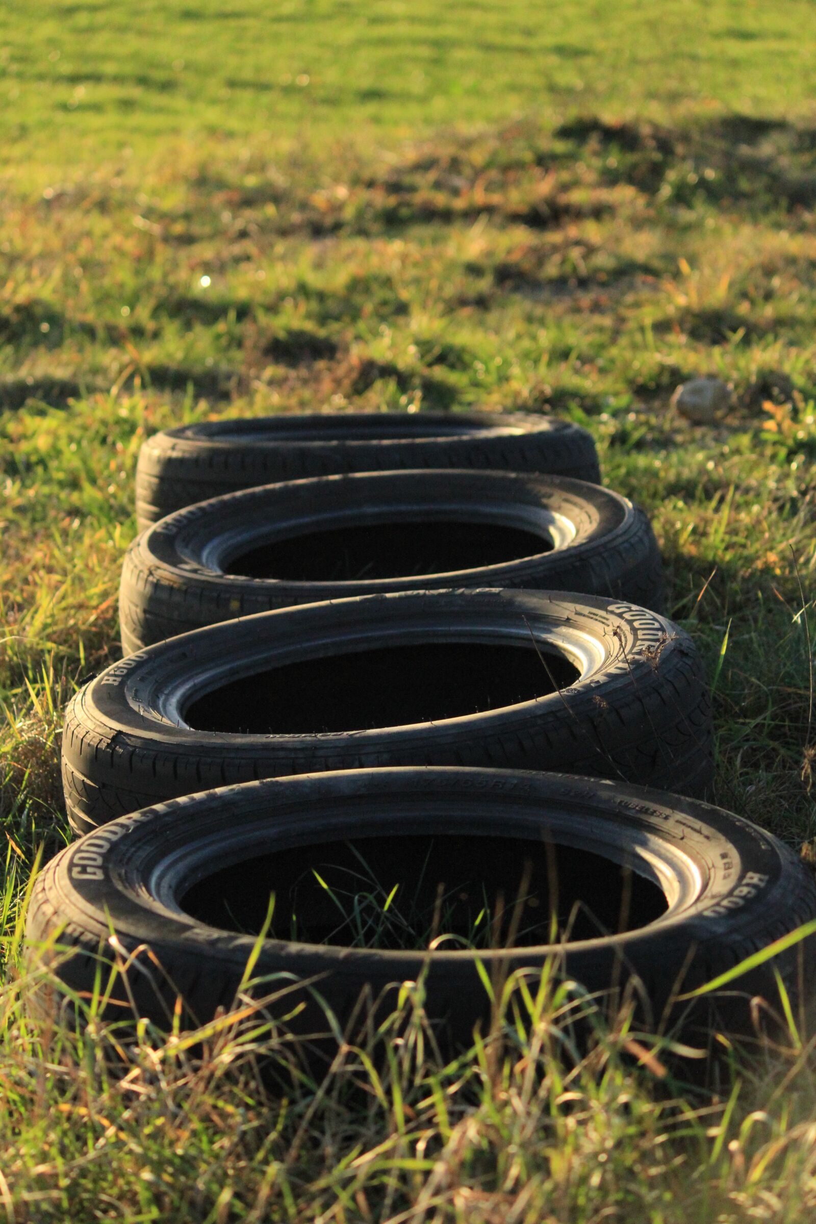 Canon EOS 7D sample photo. Tires, grass, nature photography