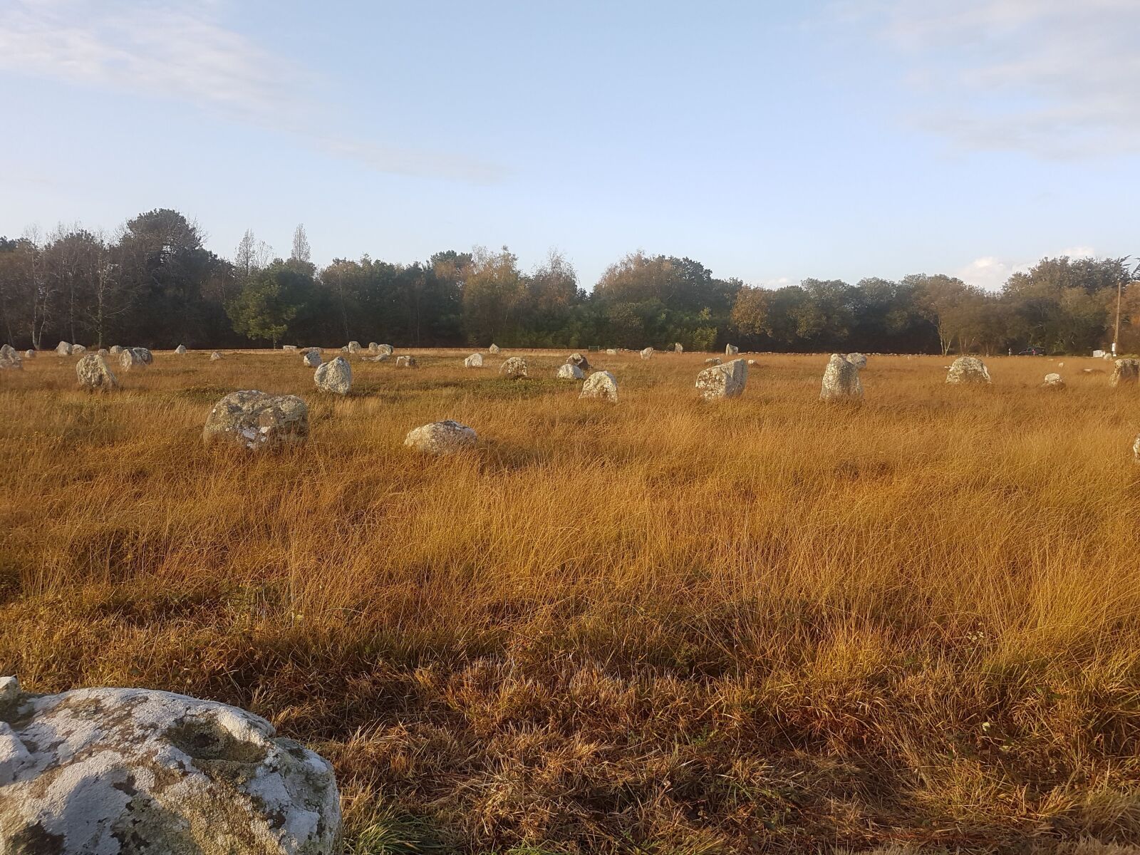 Samsung Galaxy S7 Edge sample photo. Tarnac, stones, bronze age photography