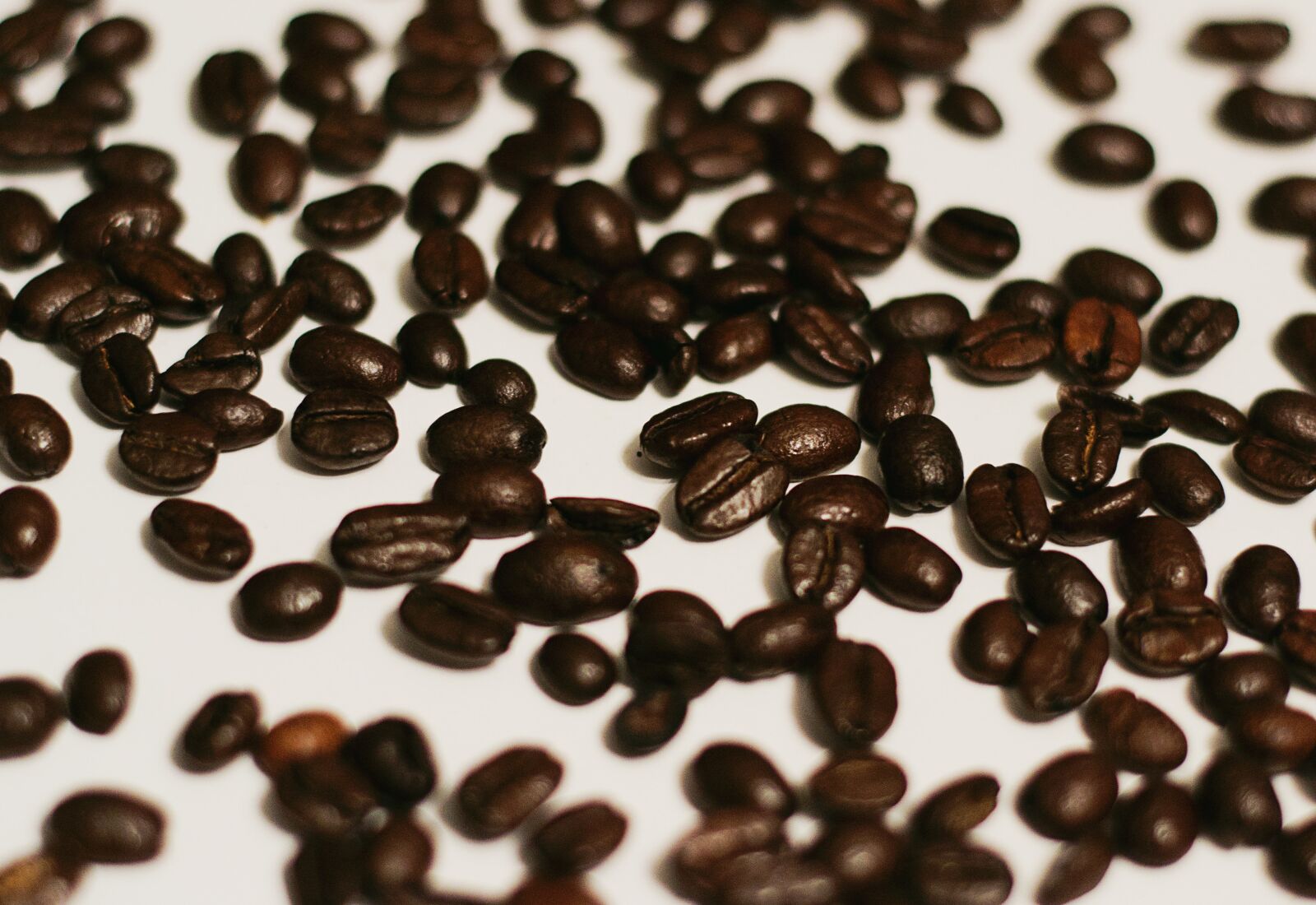 Nikon D3100 sample photo. Coffee, coffee bean, coffee photography