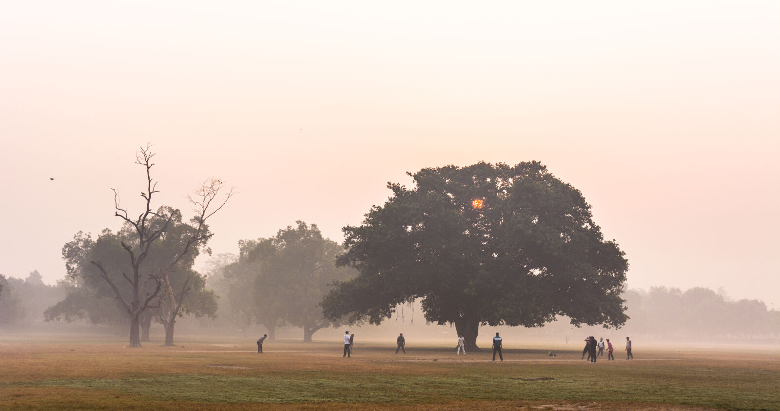 Nikon D5200 sample photo. Early, morning, landscape, morning photography