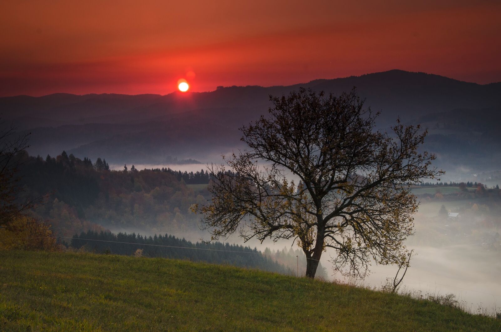 Nikon D5100 sample photo. Autumn, landscape, sunrise photography