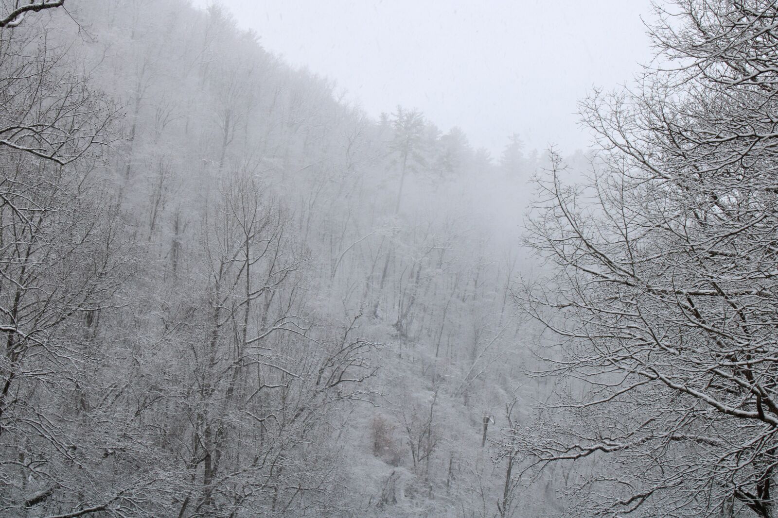 Canon EOS 2000D (EOS Rebel T7 / EOS Kiss X90 / EOS 1500D) sample photo. Mountain, snow, winter photography