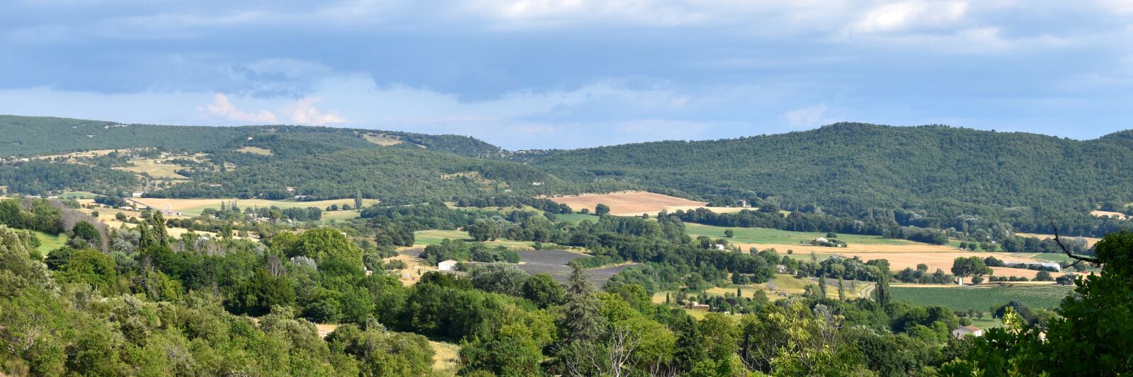 Nikon D5600 sample photo. Greenery, hills, trees photography