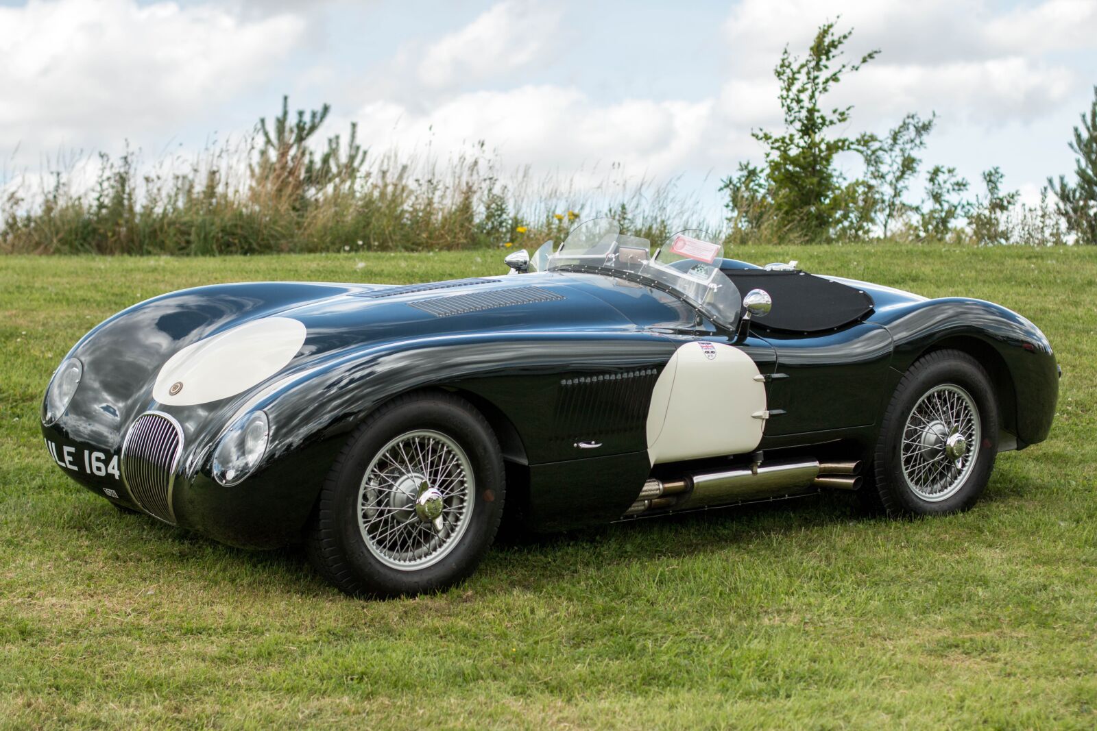 Canon EOS 70D + Canon EF 50mm F1.4 USM sample photo. Car, jaguar, c type photography