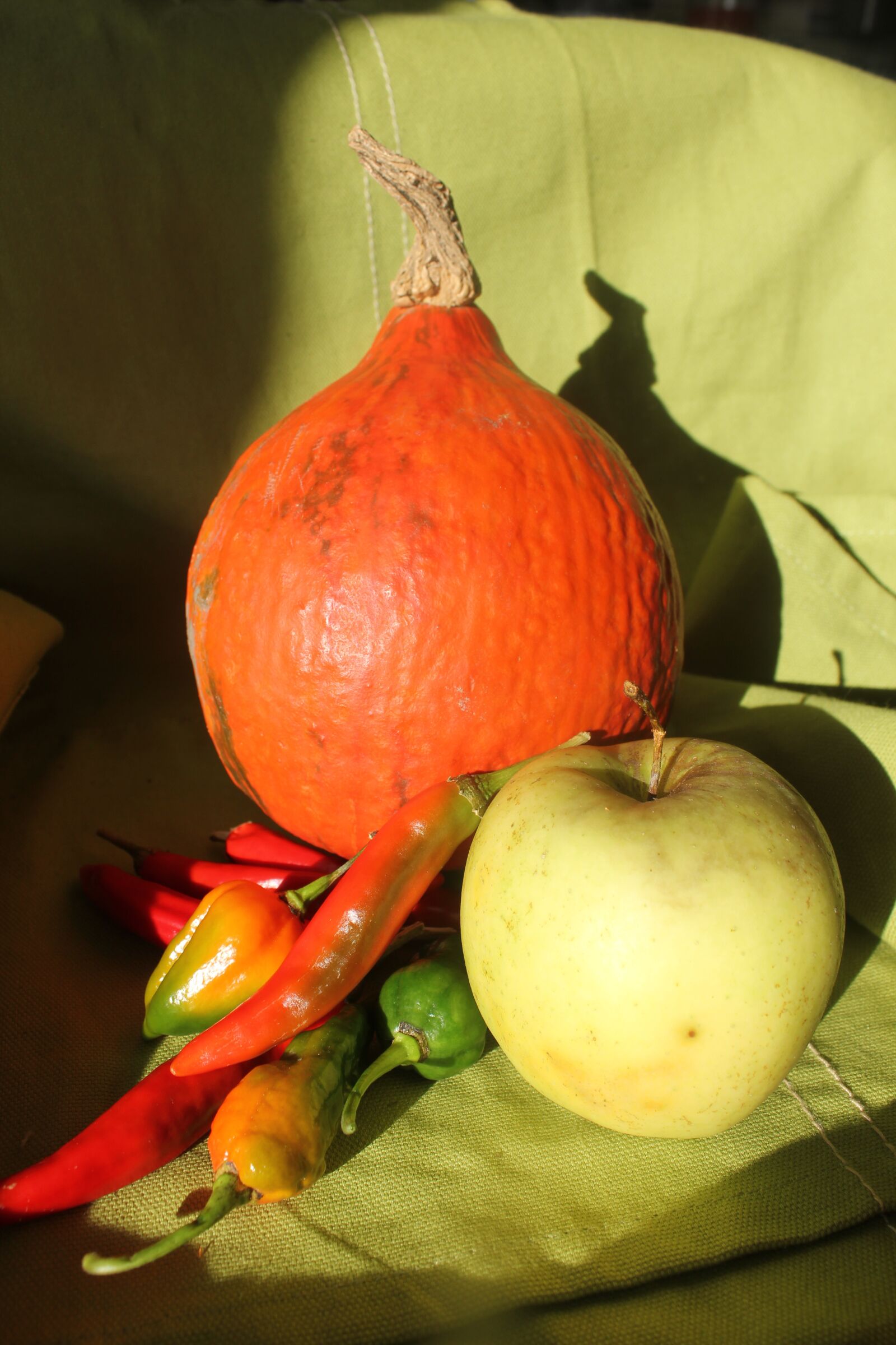 Canon EOS 550D (EOS Rebel T2i / EOS Kiss X4) sample photo. Pumpkin, apple, fruits photography