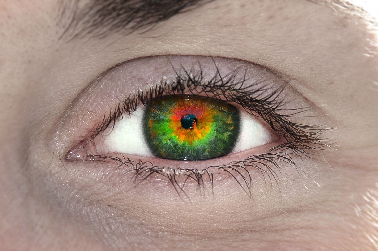 Nikon D90 sample photo. Grüne, eye, view photography