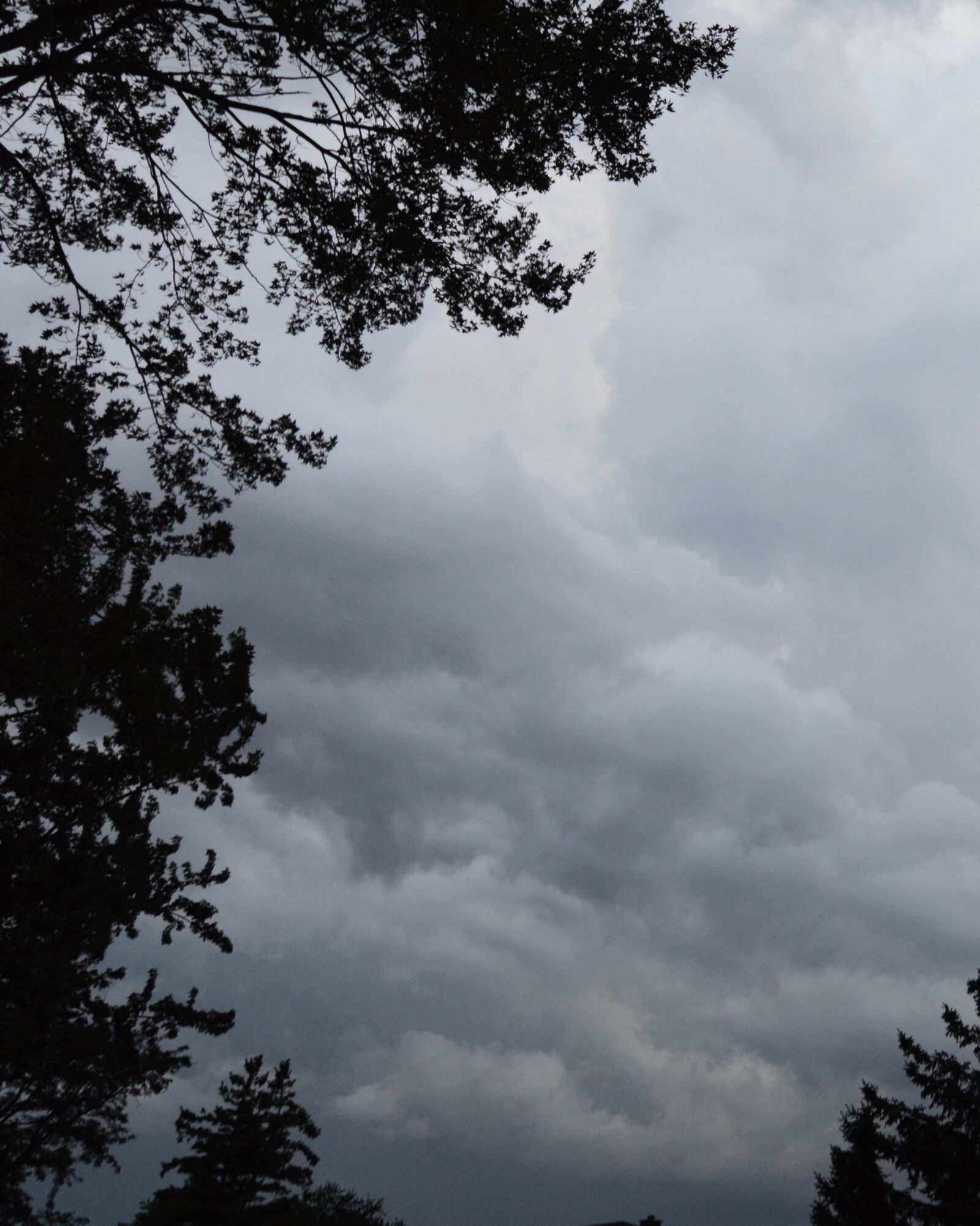 Nikon D3200 sample photo