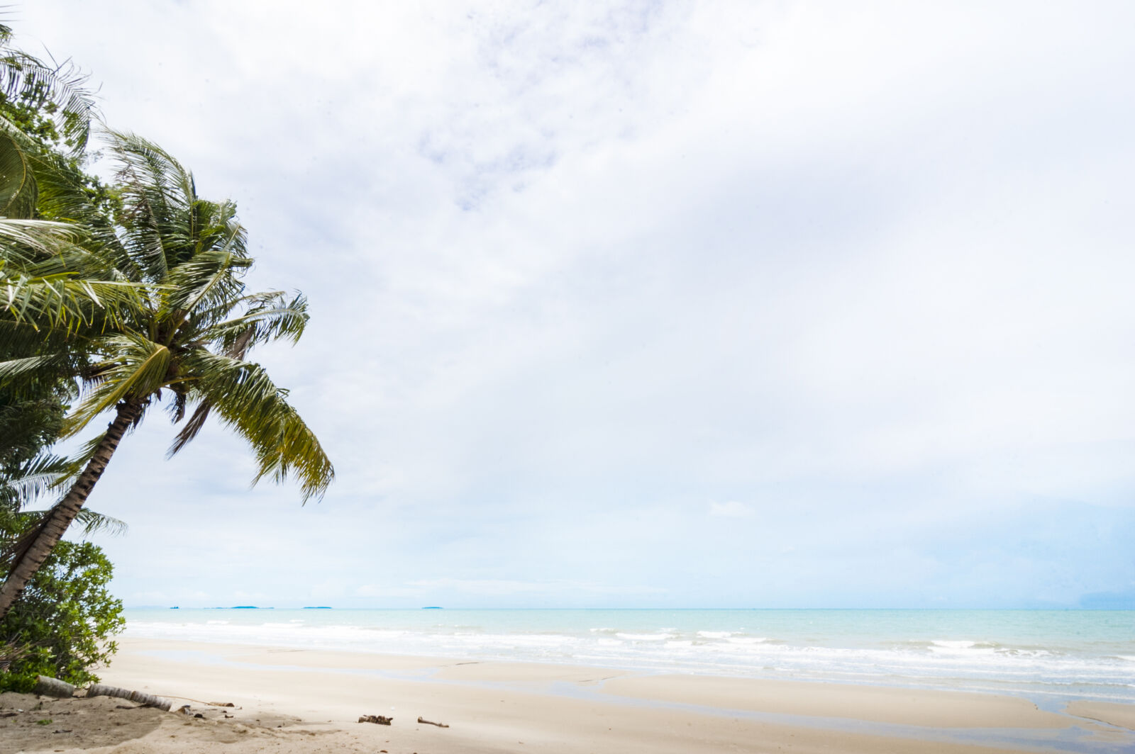Nikon D70s sample photo. Beach, blue, coconut, trees photography