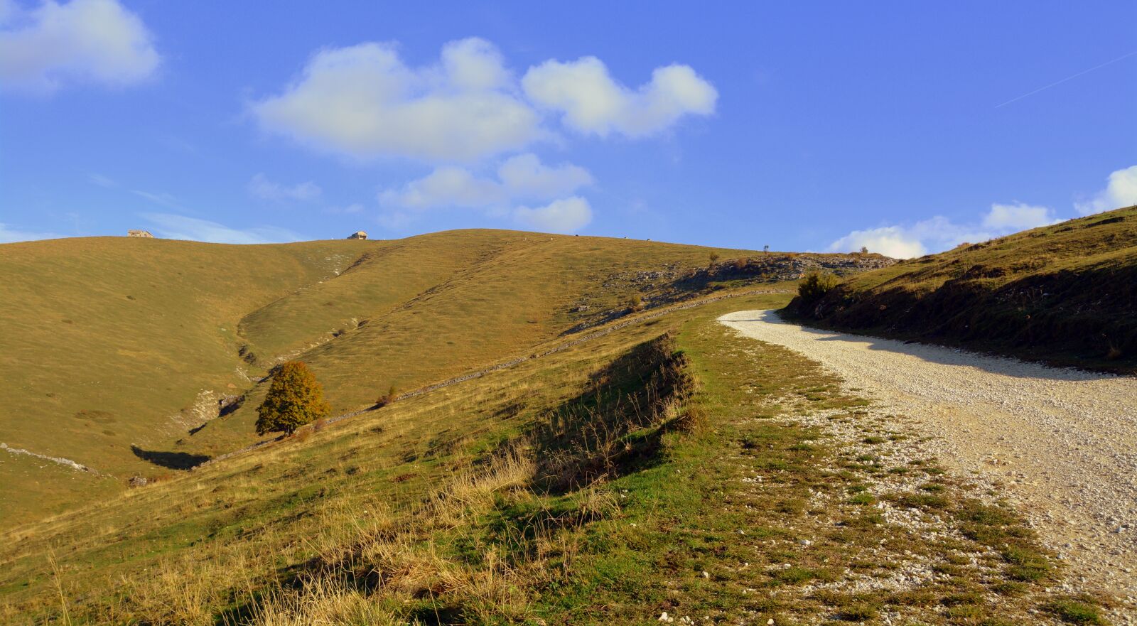 Nikon D7100 sample photo. Excursion, trees, autumn photography