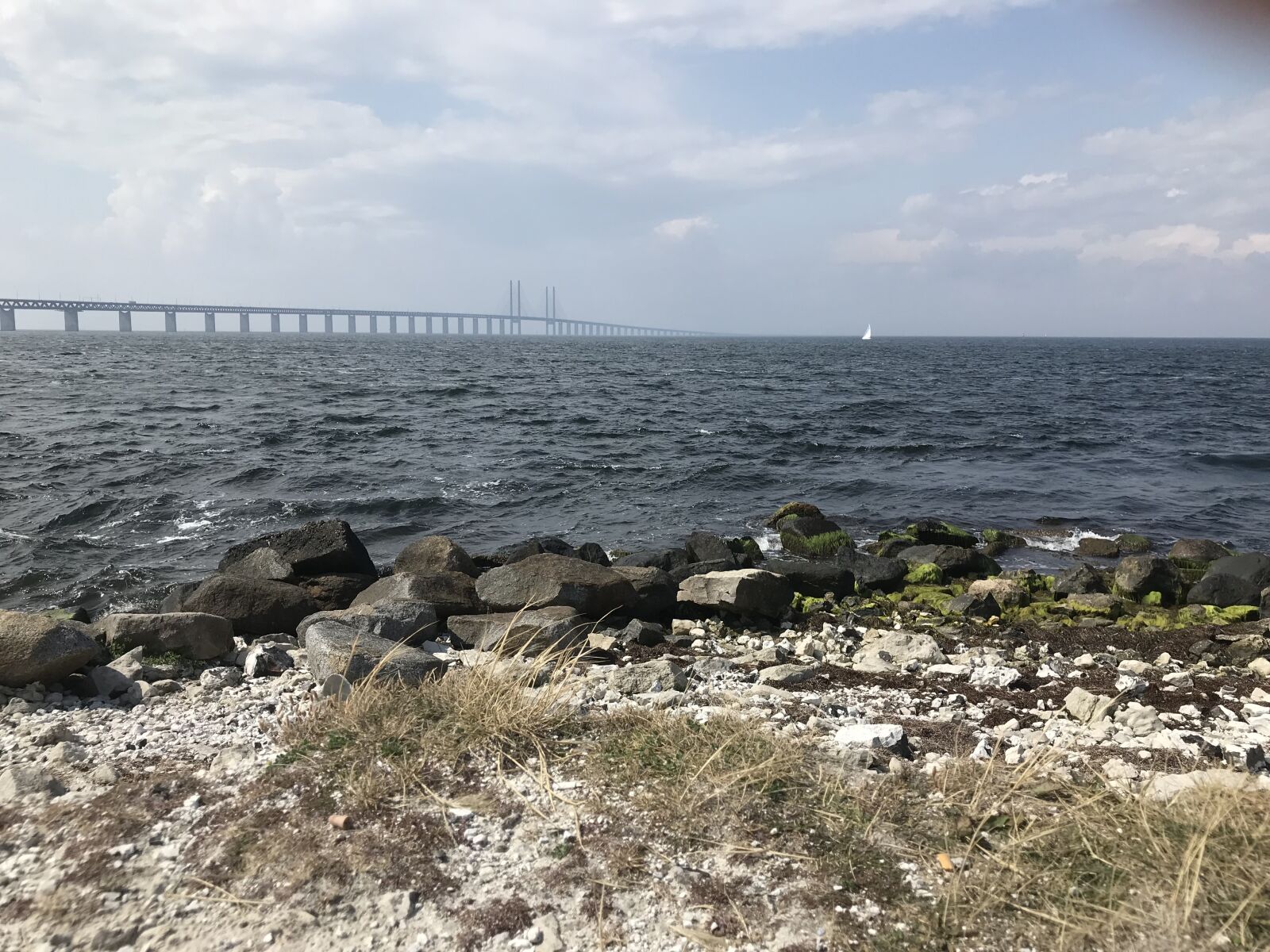 iPhone 7 back camera 3.99mm f/1.8 sample photo. Water, bridge, malmoe photography