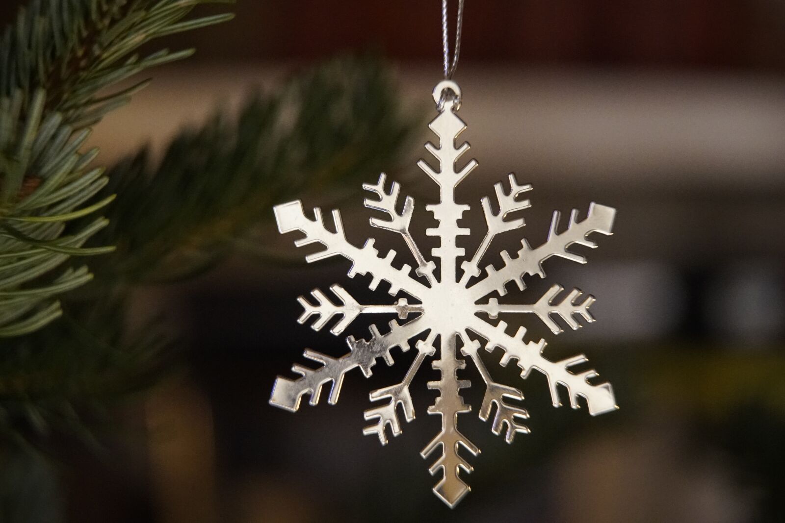 Sony a7R II + Sony E PZ 18-105mm F4 G OSS sample photo. Snowflake, bright, silver photography