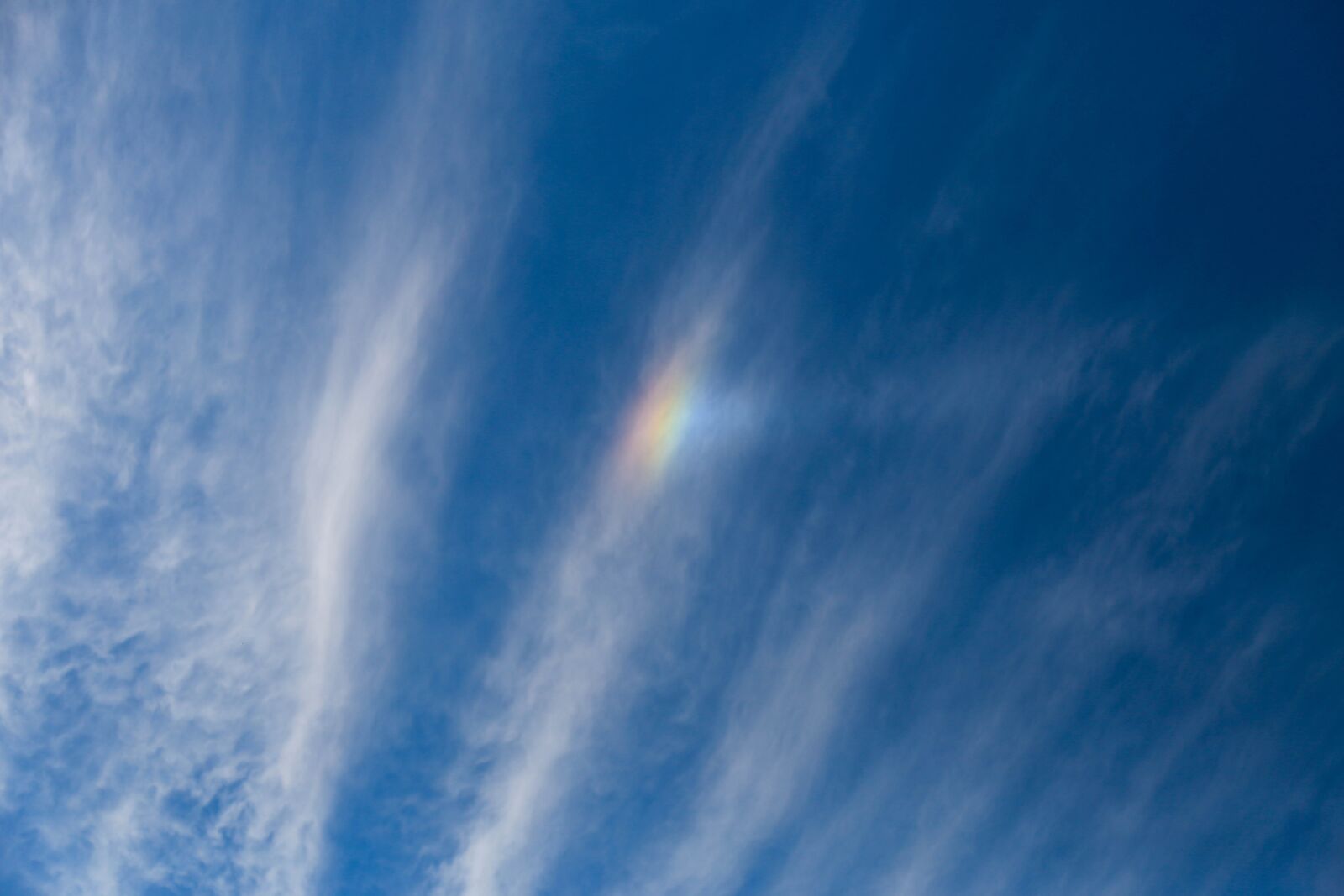 Canon EOS 6D + Canon EF 24-105mm F4L IS USM sample photo. Abstract, nature photography