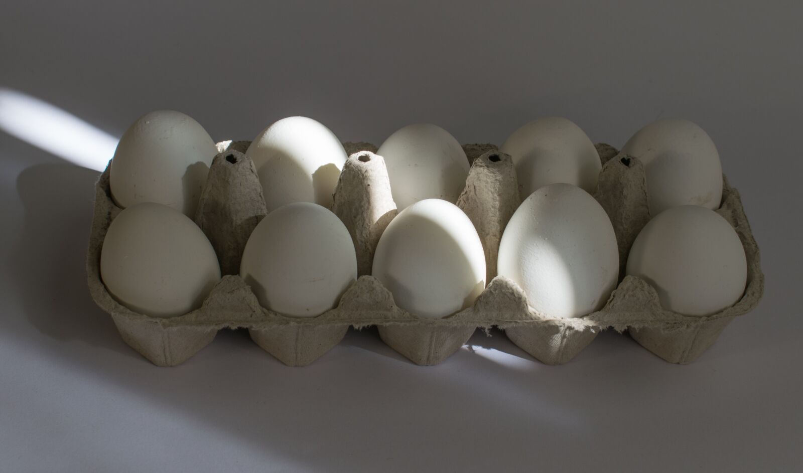 Nikon D5300 sample photo. Egg, plate, sun photography