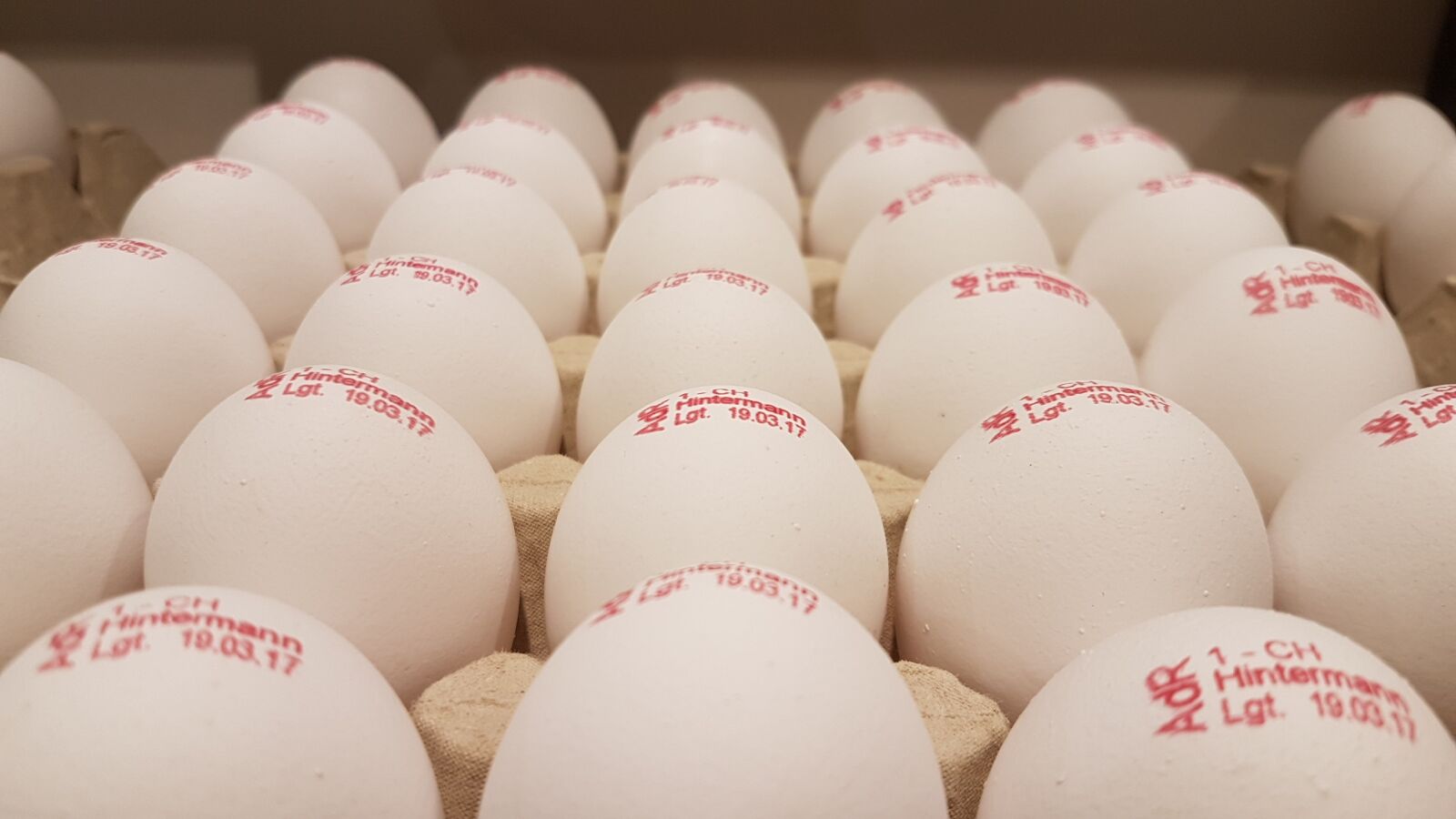 Samsung Galaxy S7 sample photo. Egg, egg carton, eat photography