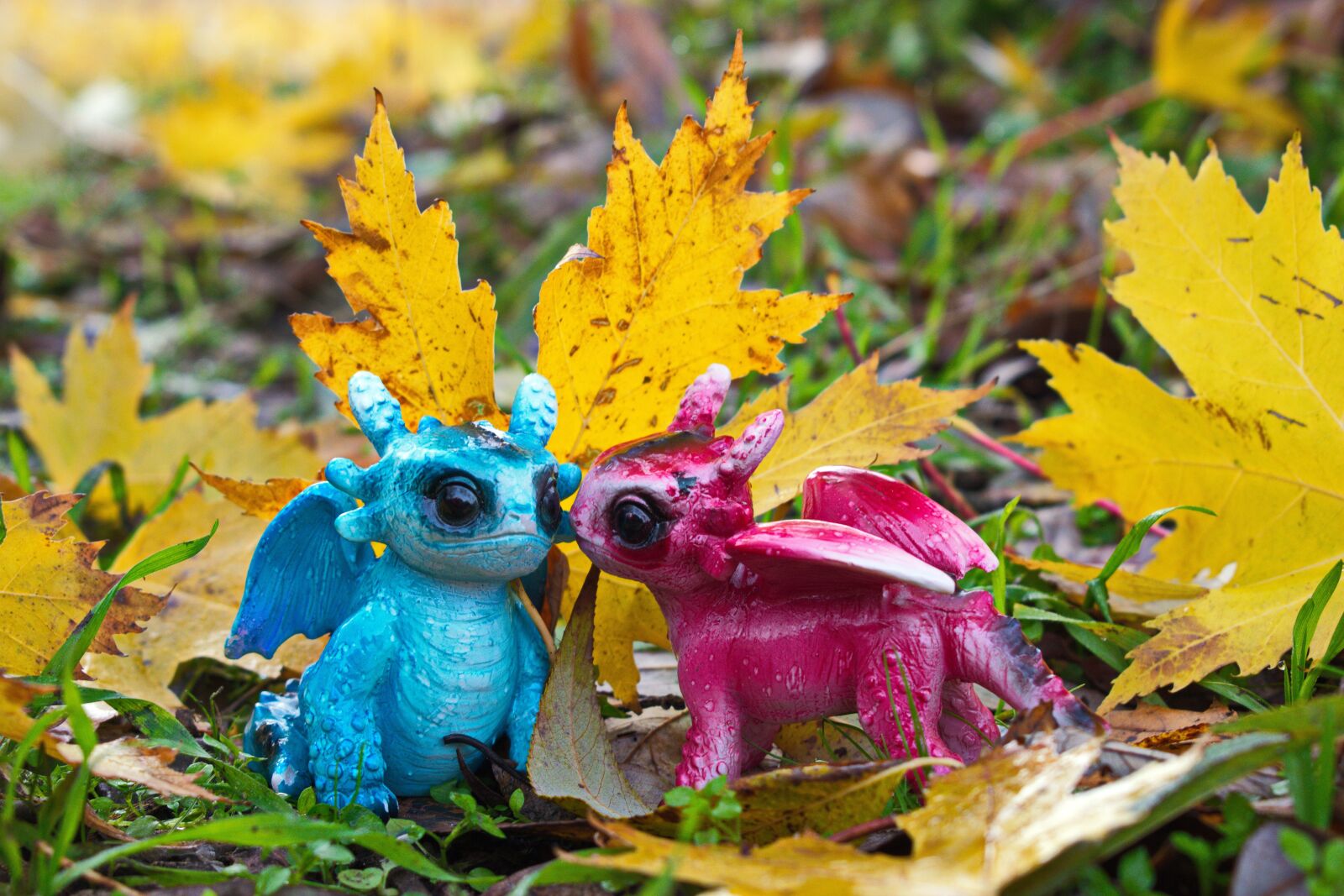 Nikon D3300 sample photo. Autumn, lovers, leaves photography
