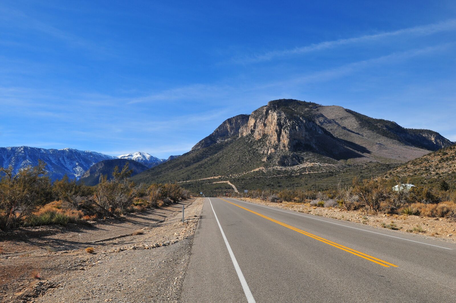 Nikon D300 sample photo. Mt charlston, road, mountains photography