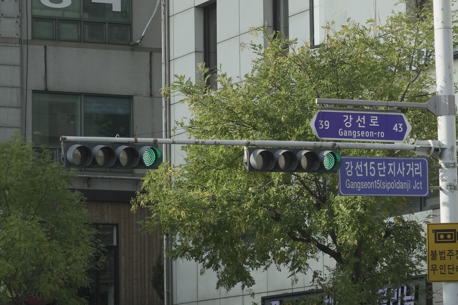 Sony Cyber-shot DSC-RX100 VI sample photo. Traffic light, korea, city photography
