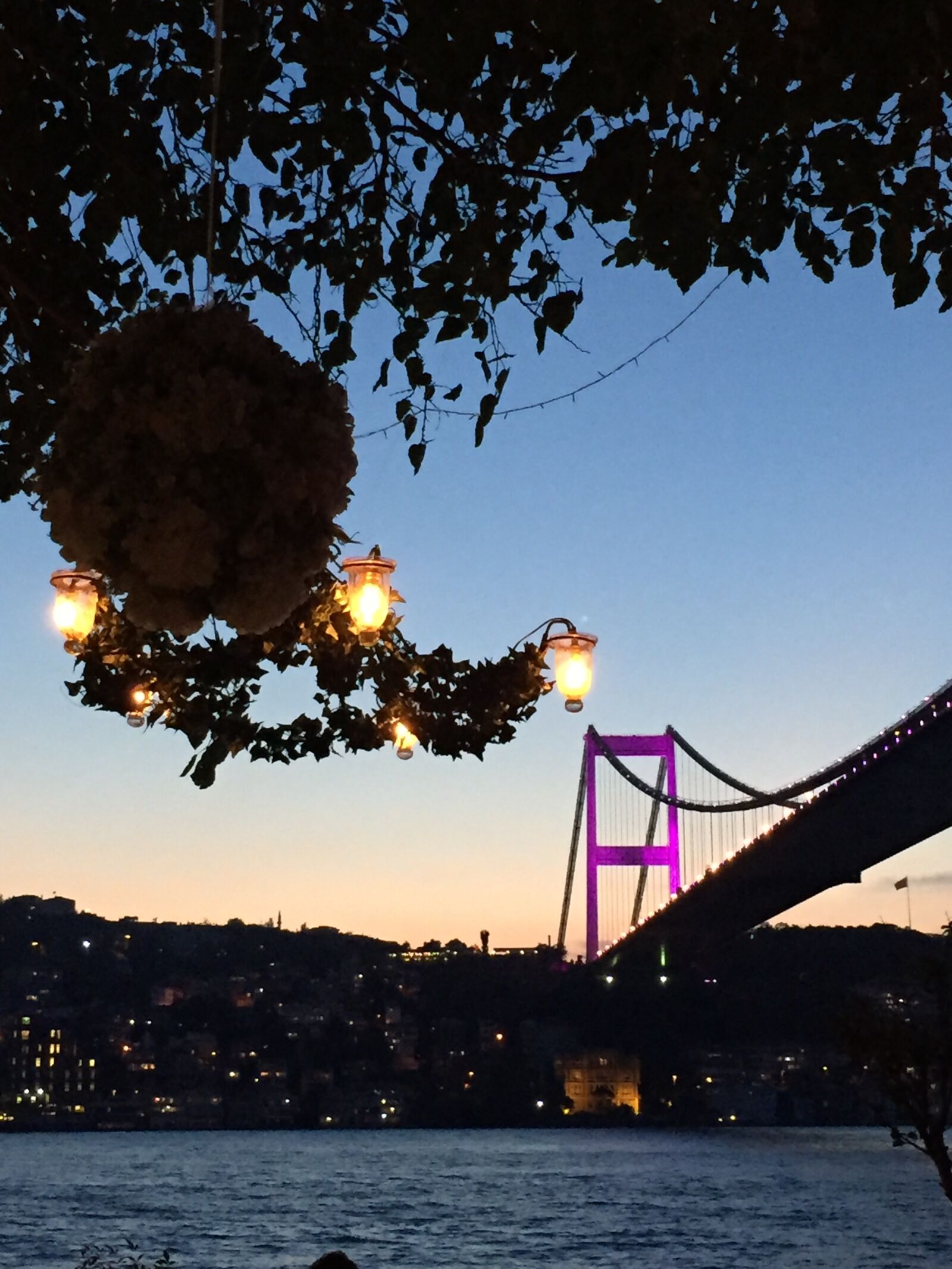 iPhone 6 back camera 4.15mm f/2.2 sample photo. Bosphorusbridge, wedding, bouquet photography