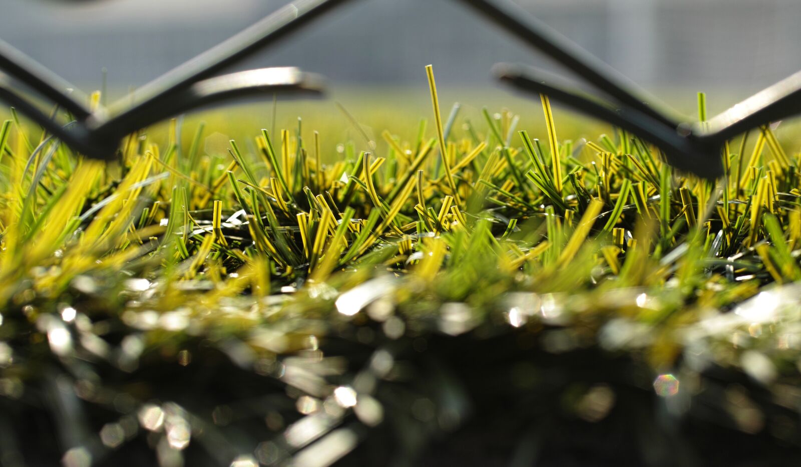 Sigma DP3 Merrill sample photo. Grass, field, football photography