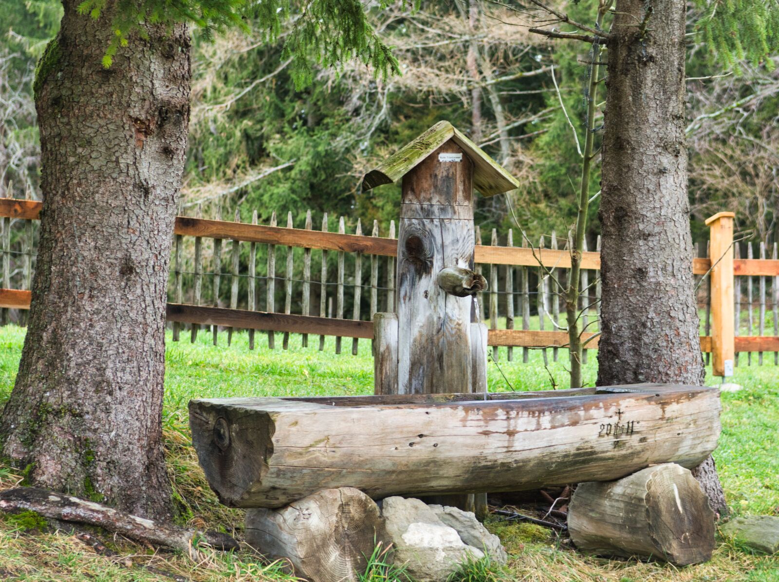 Nikon D7100 sample photo. Watering hole, fountain, alm photography