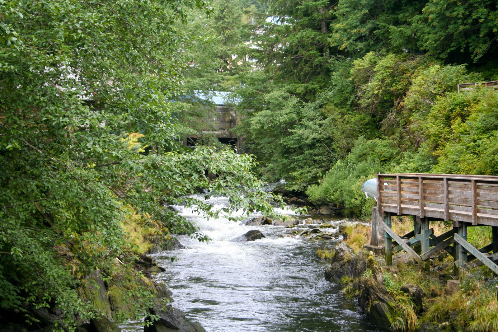 Canon EOS 350D (EOS Digital Rebel XT / EOS Kiss Digital N) sample photo. Alaska, creek photography