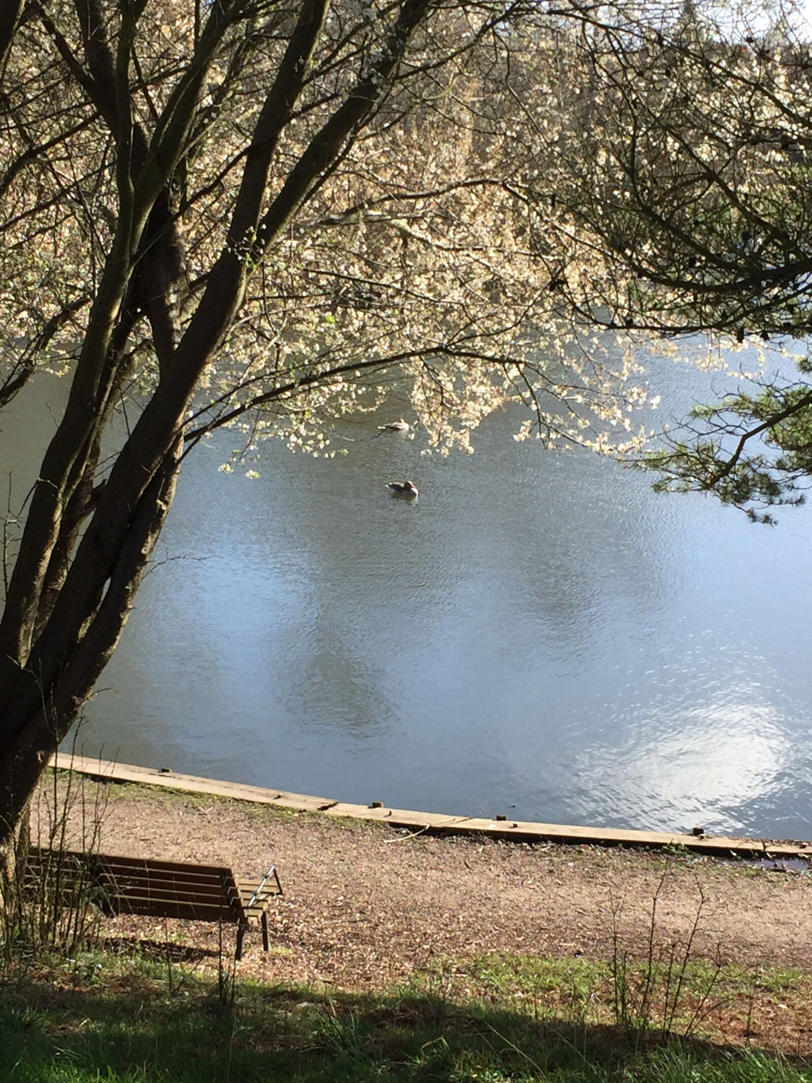 iPhone 6 back camera 4.15mm f/2.2 sample photo. Spring, lake, ro photography