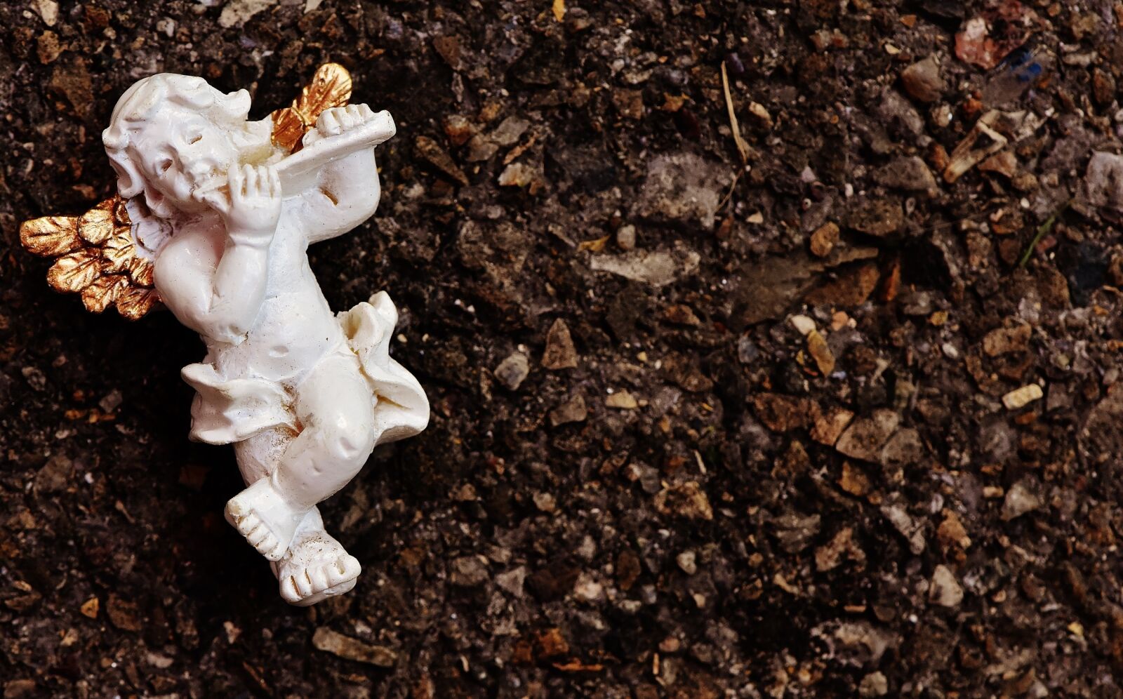 Nikon D7200 sample photo. Angel, instrument, figure photography