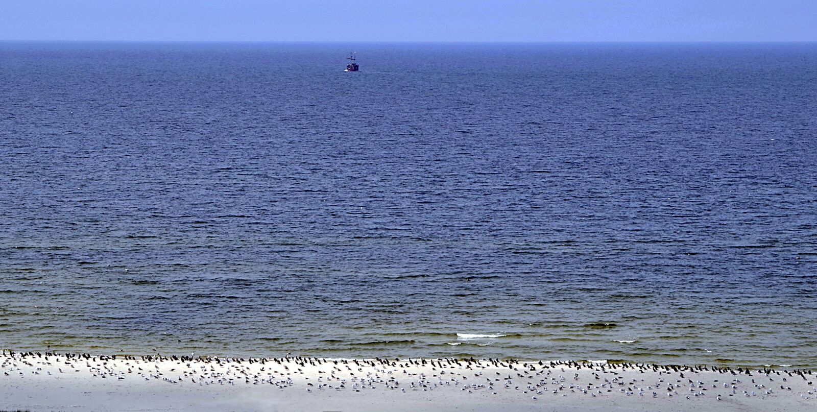 Pentax K-S2 sample photo. Sea, birds, the seagulls photography