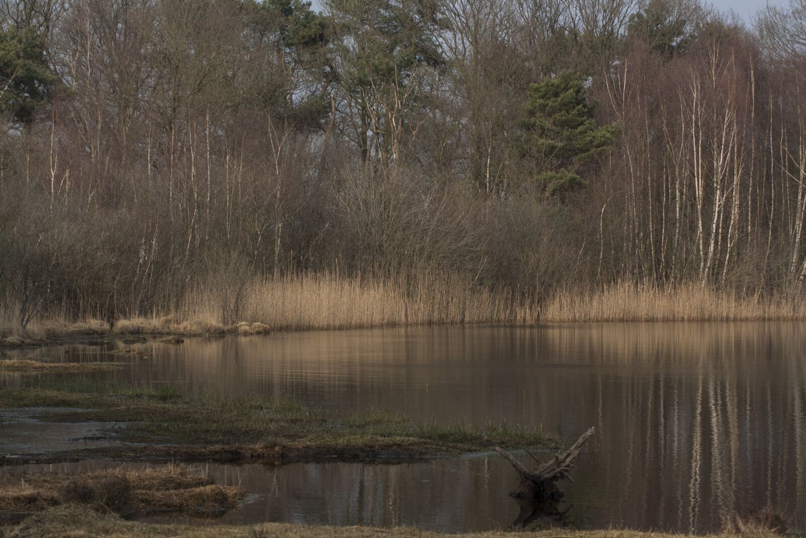 Canon EOS 1000D (EOS Digital Rebel XS / EOS Kiss F) sample photo. Nature, water, beauty photography