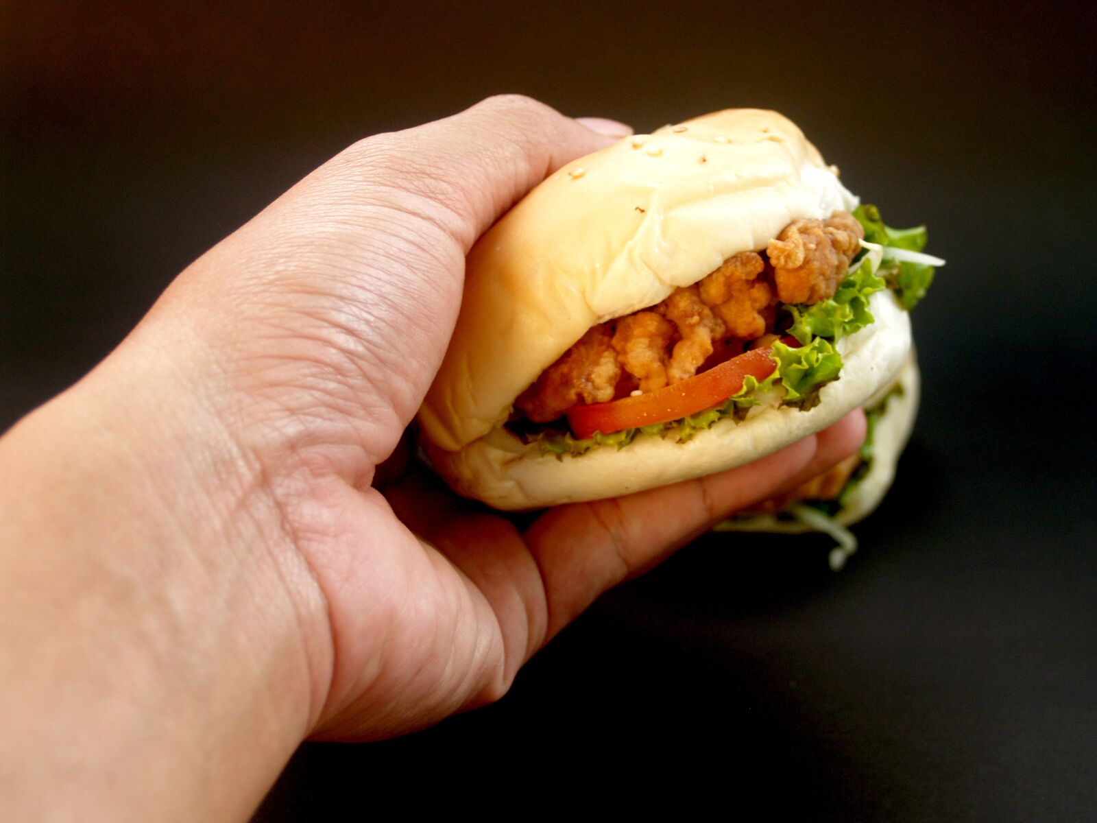 Olympus E-300 (EVOLT E-300) sample photo. Hamburger, burger, bun photography