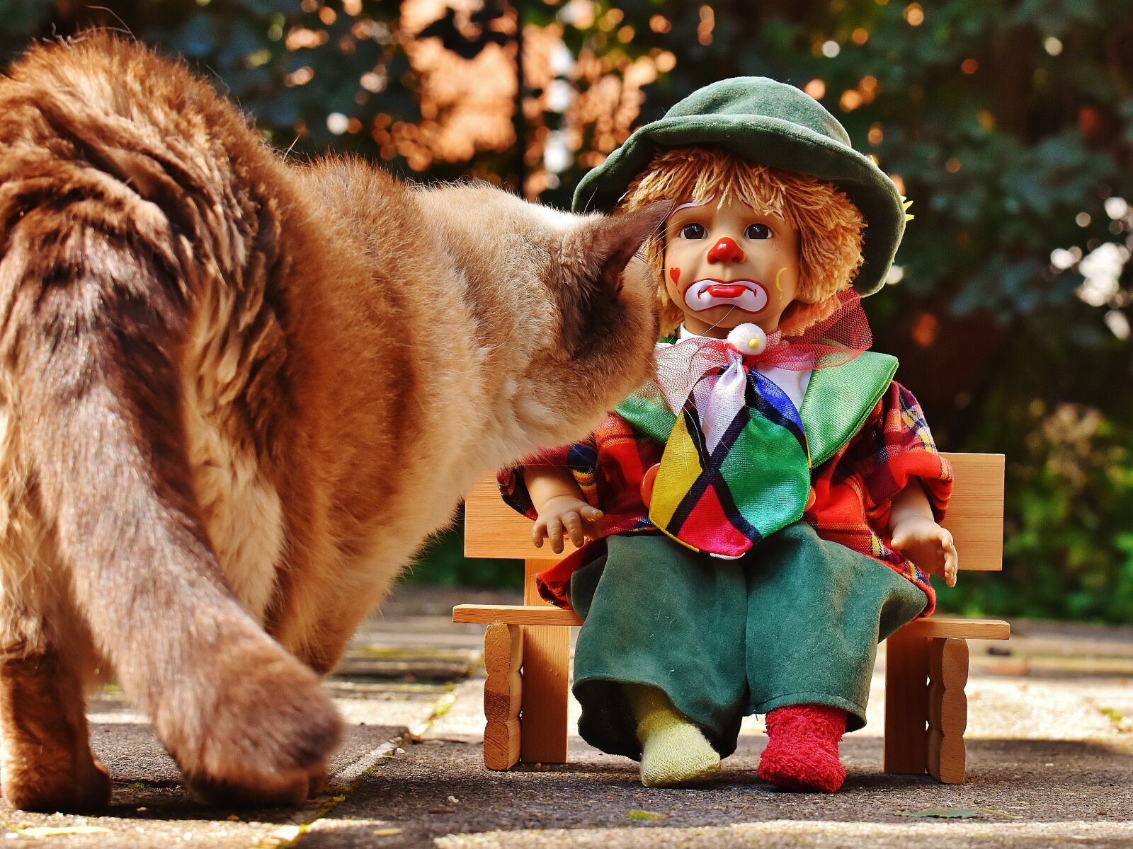 Nikon D7200 sample photo. Doll, clown, sad photography