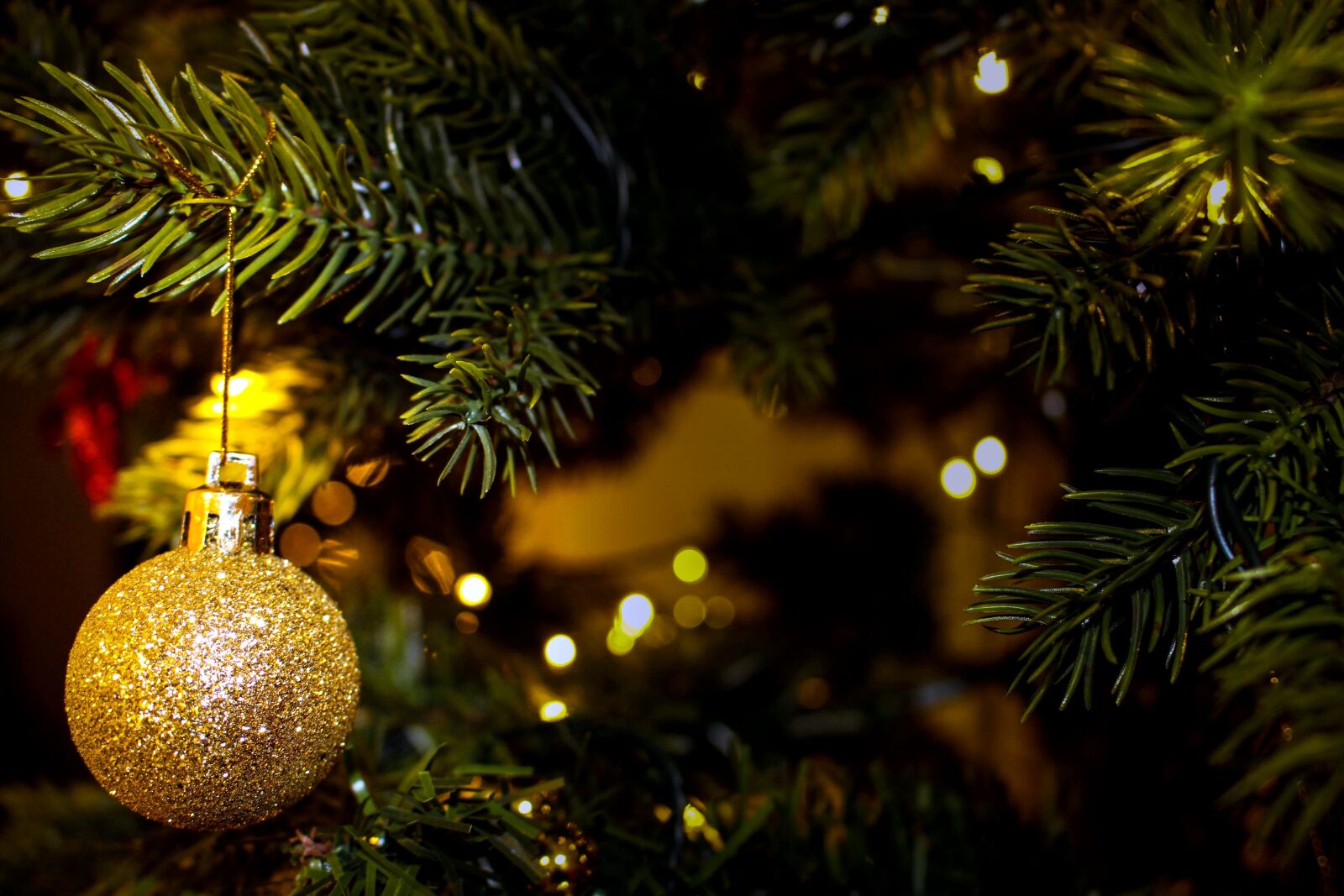 Canon EOS 700D (EOS Rebel T5i / EOS Kiss X7i) sample photo. Golden tree, christmas, ornament photography