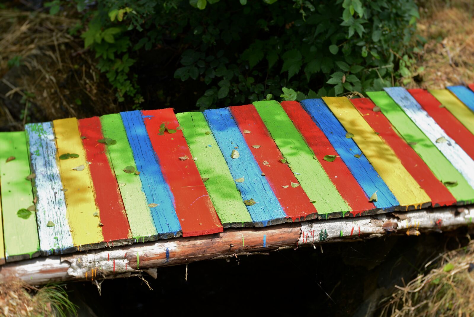 Nikon D600 sample photo. Bridge, rainbow bridge, colors photography