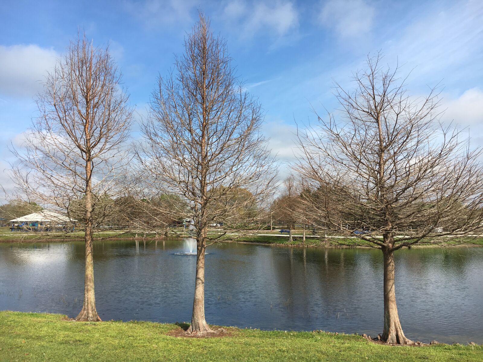 Apple iPhone 6s sample photo. Lake, nature, park photography