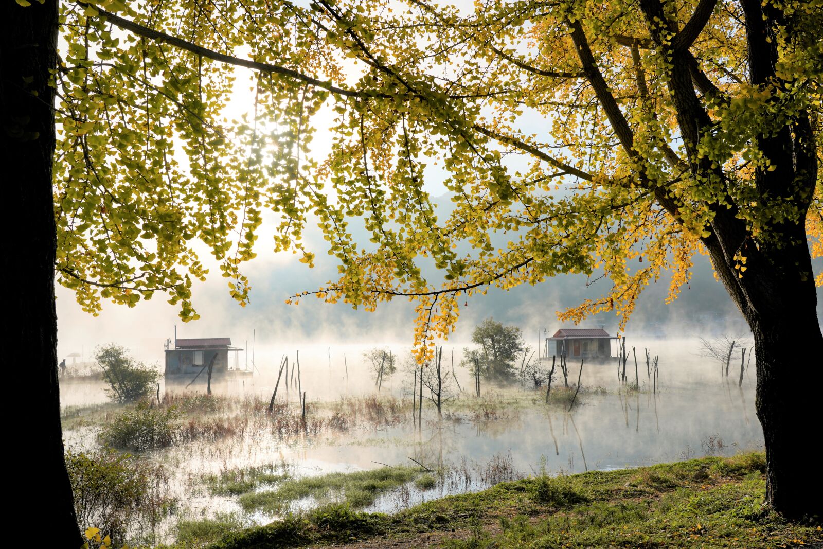 Sony FE 24-105mm F4 G OSS sample photo. Reservoir, lake, korea photography