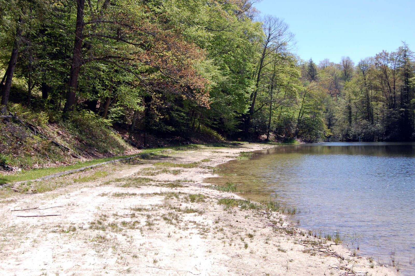 Nikon D40 sample photo. Public, walking, path photography