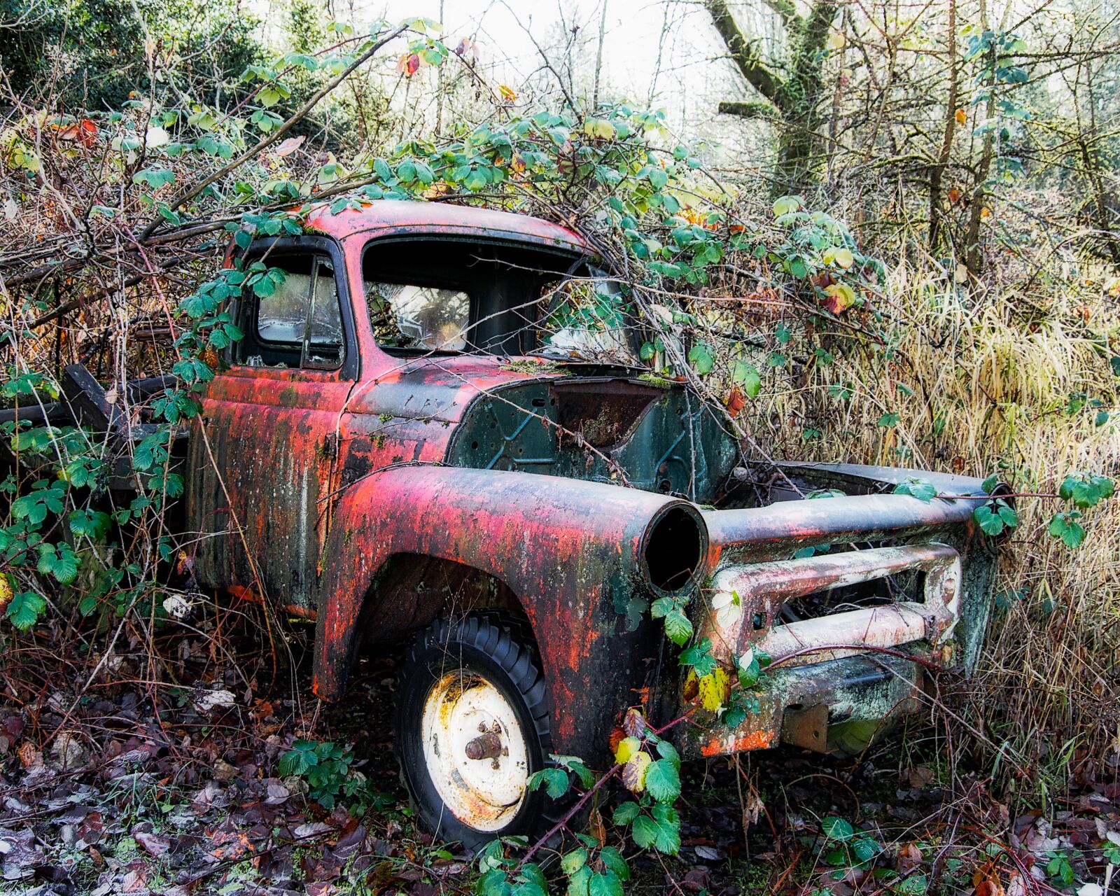 Nikon D3100 sample photo. Old truck, abandoned, antique photography