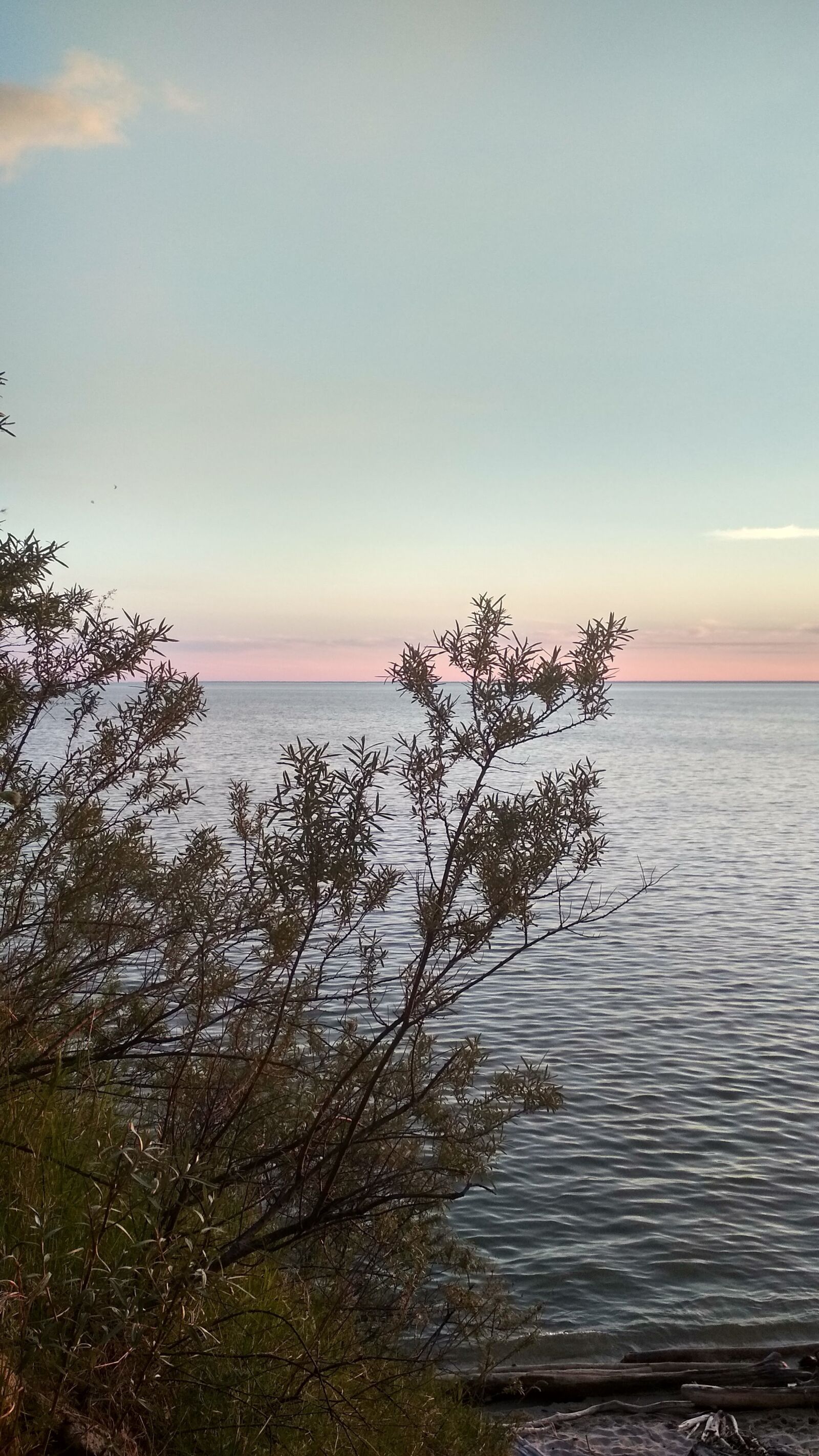 Xiaomi Redmi 4X sample photo. Sky, pink, nature photography