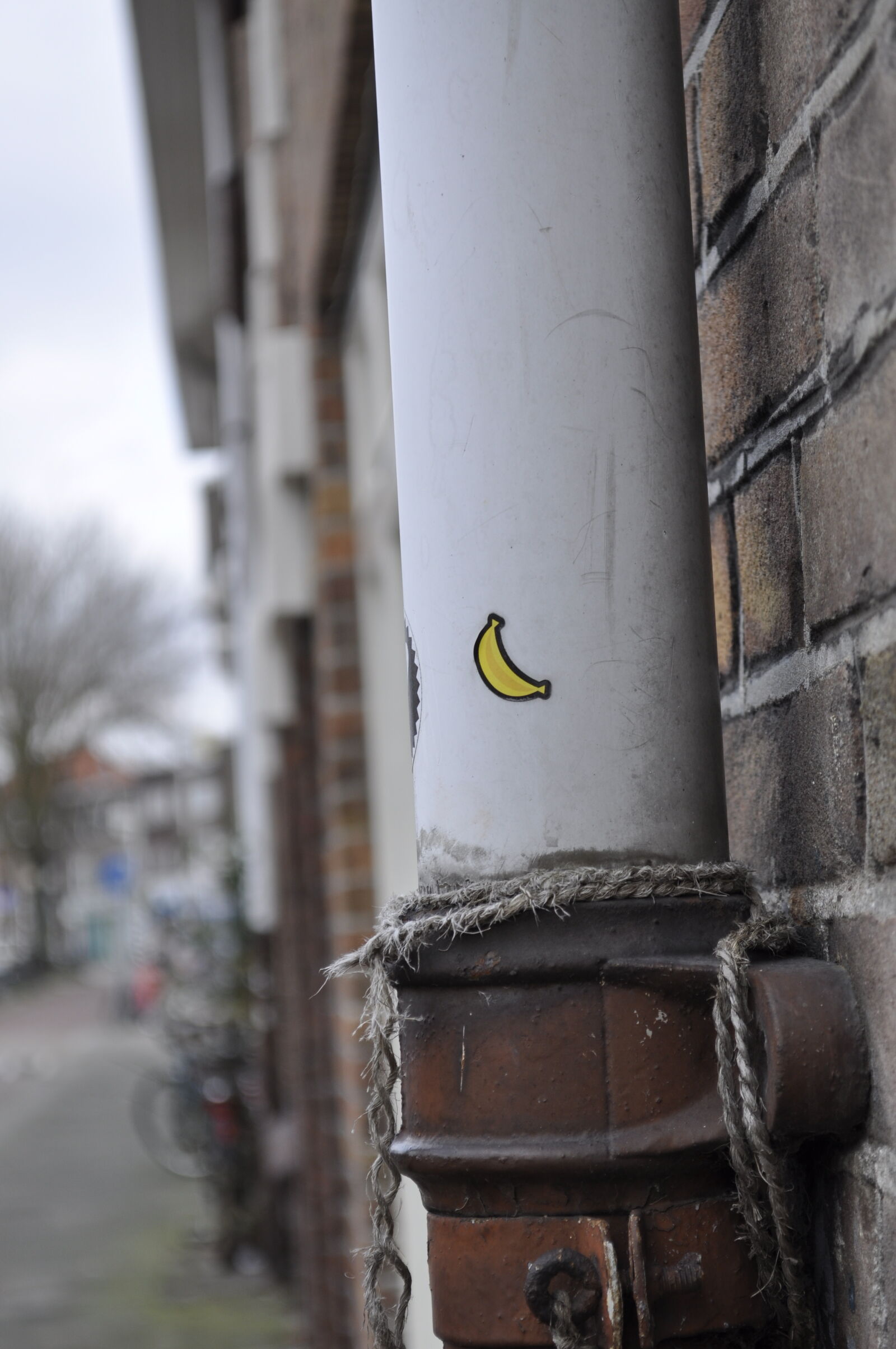 Nikon D90 sample photo. Banana, outside, rope, sticker photography