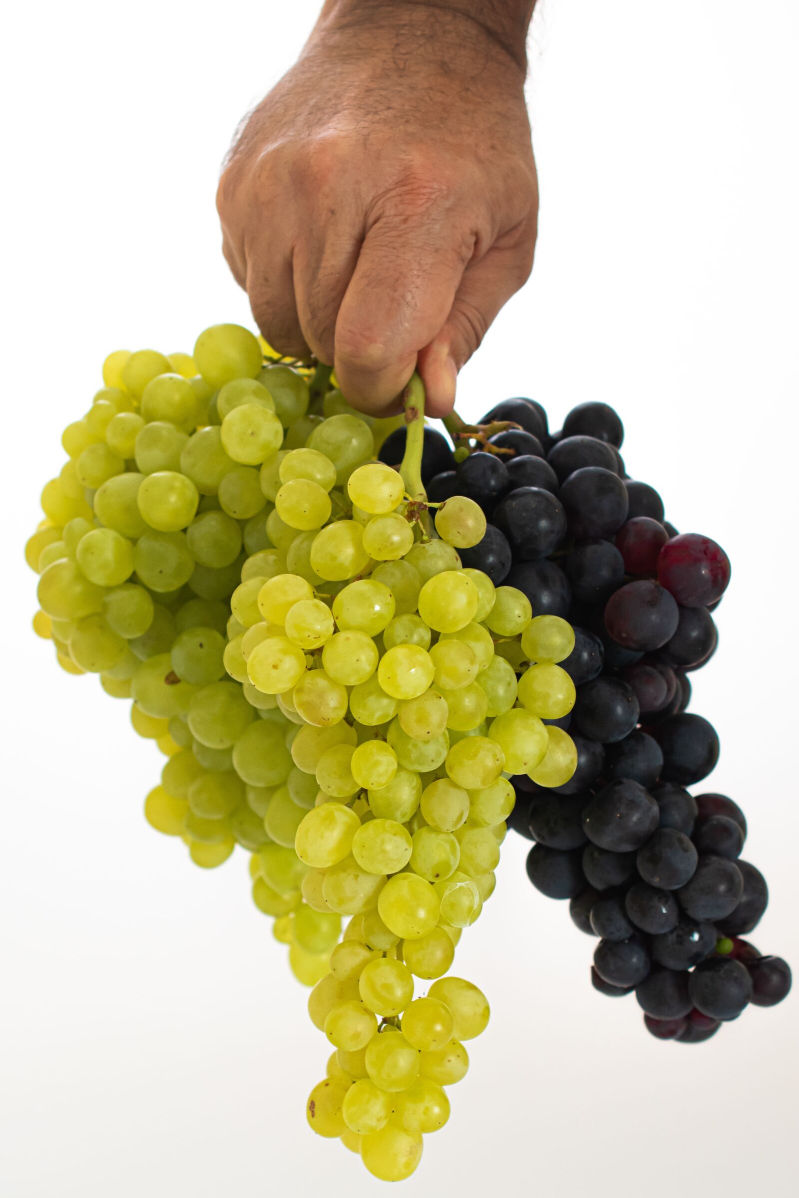 Nikon D5600 sample photo. Grape, green, fruit photography