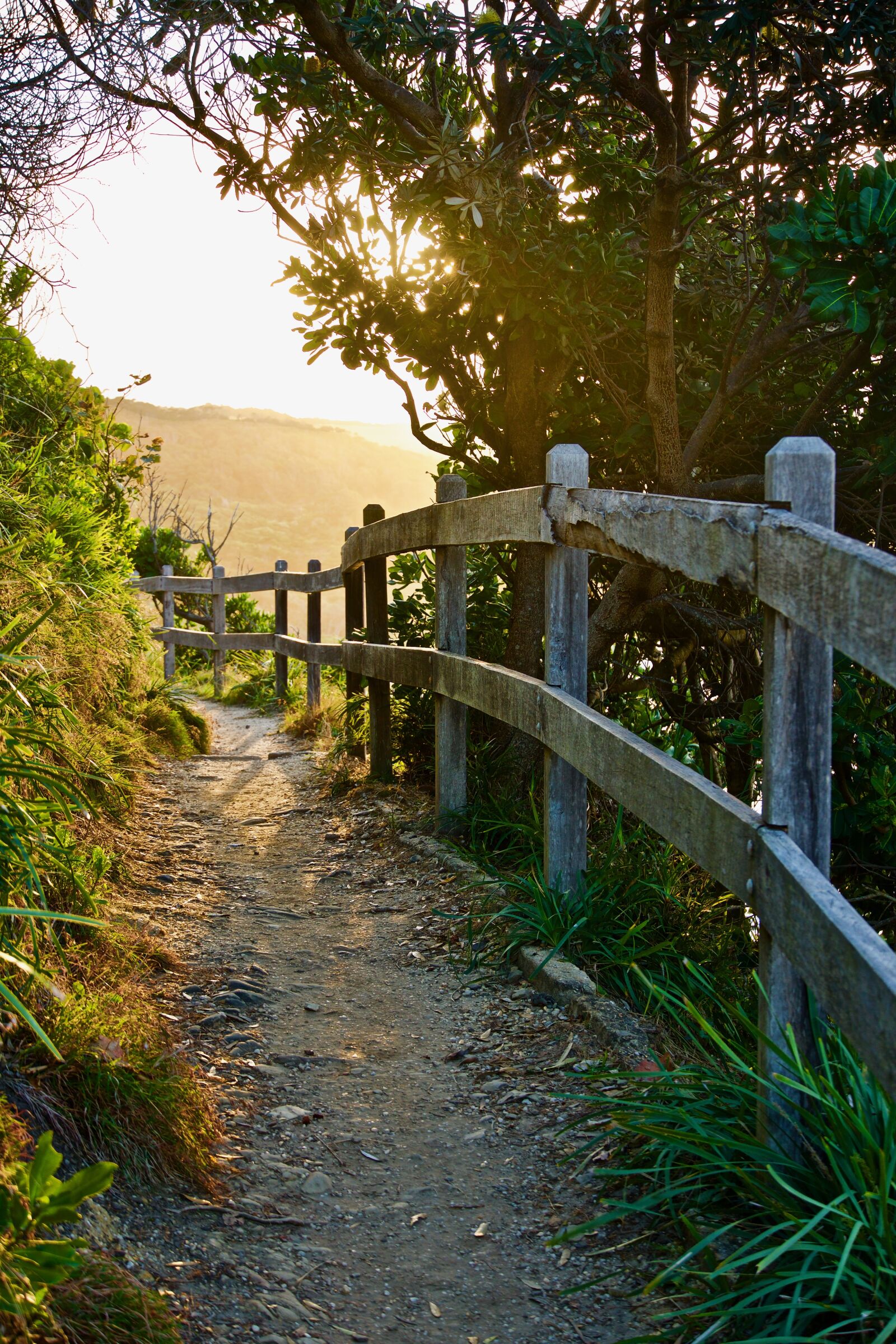 Sony E 18-135mm F3.5-5.6 OSS sample photo. Path, track, perspective photography