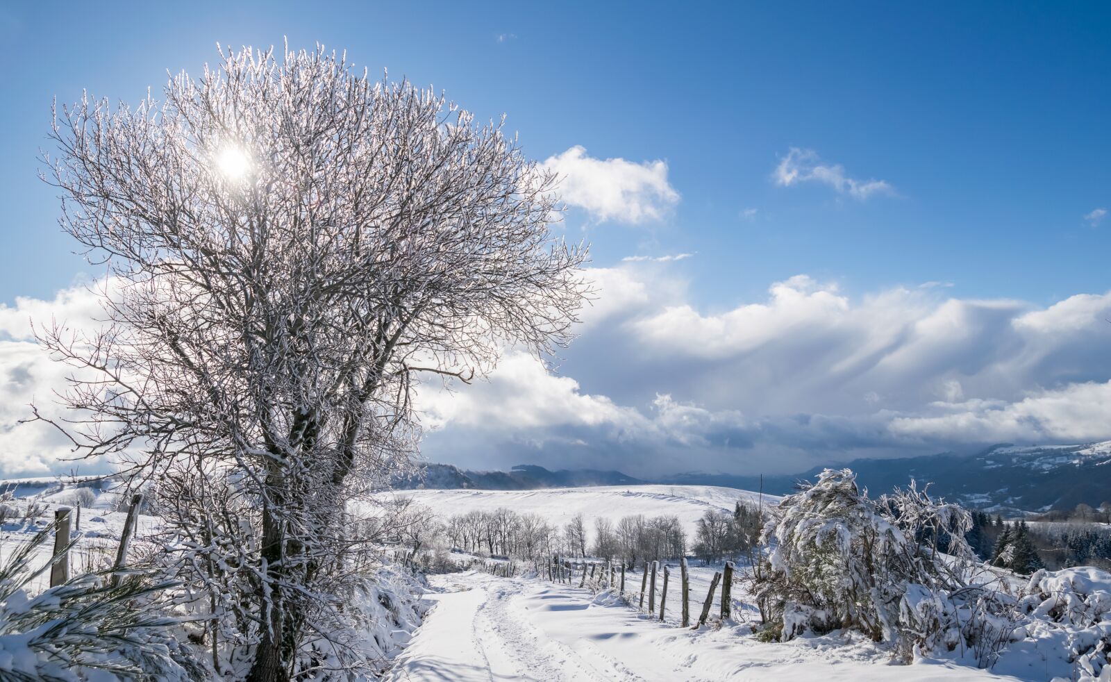 Nikon D5300 sample photo. Snow, winter, frost photography