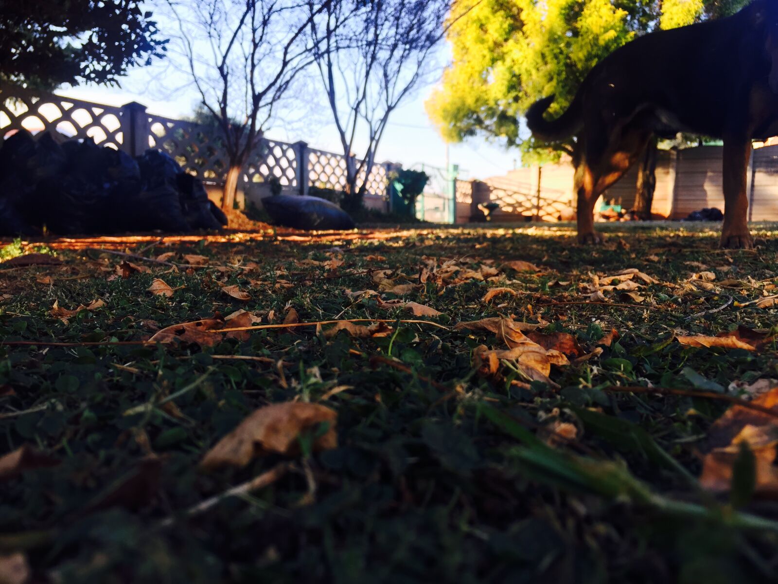 iPhone 6 back camera 4.15mm f/2.2 sample photo