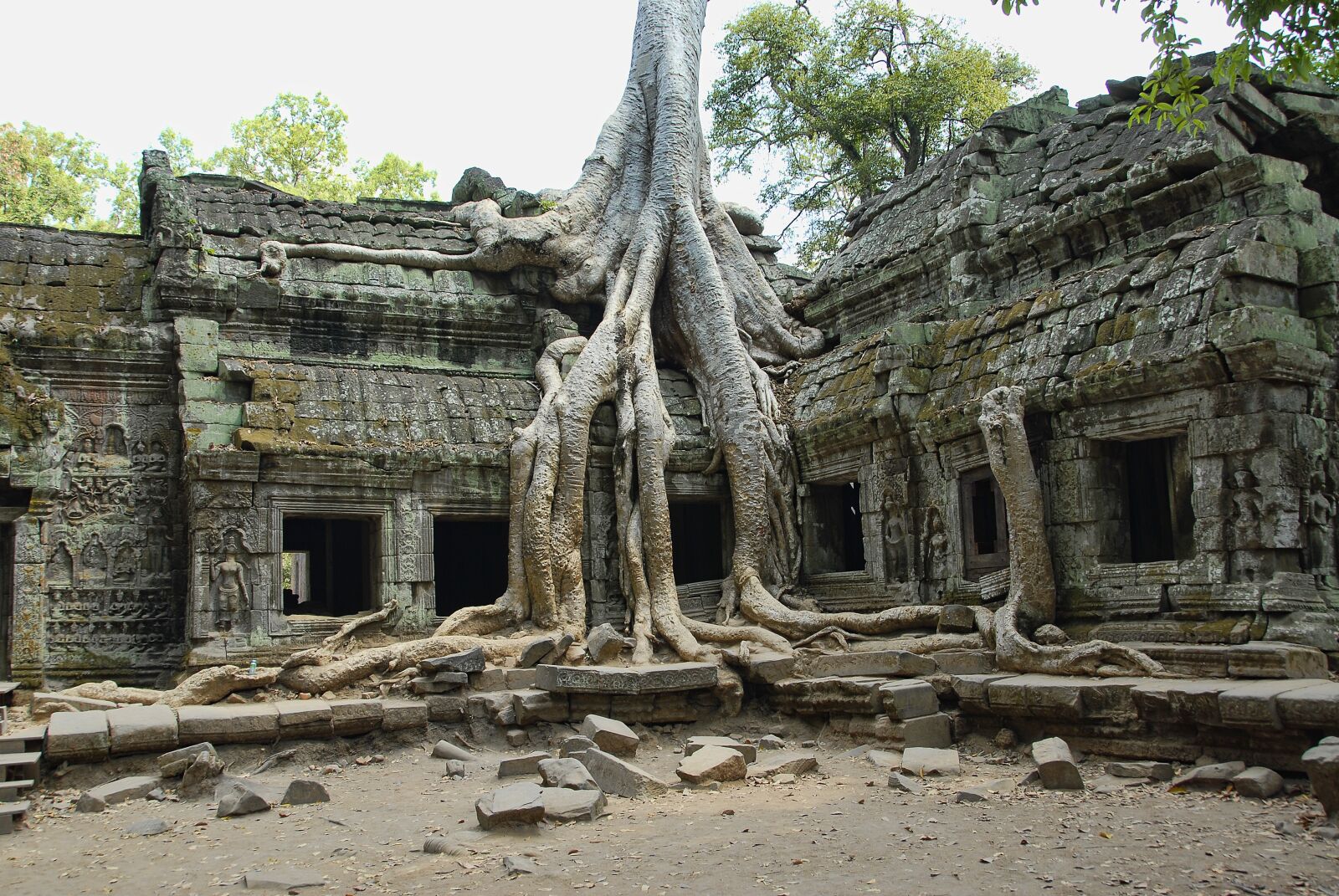 Nikon D200 sample photo. Ta prohm, cambodia, angkor photography
