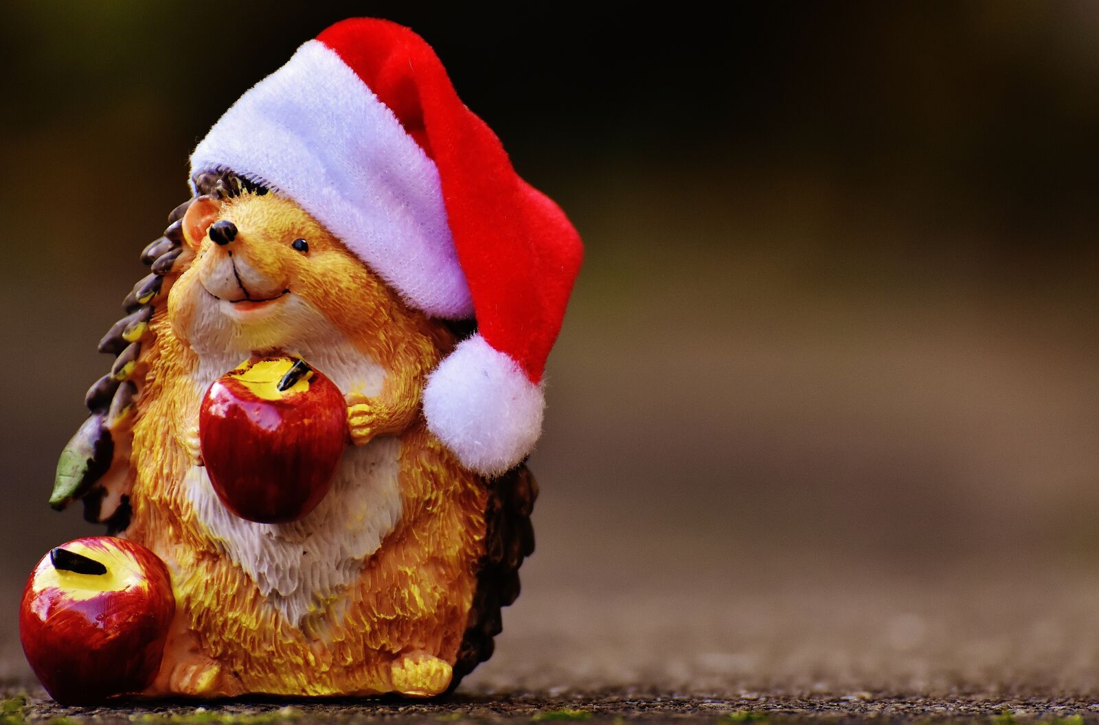 Nikon D7200 sample photo. Hedgehog, figure, christmas photography